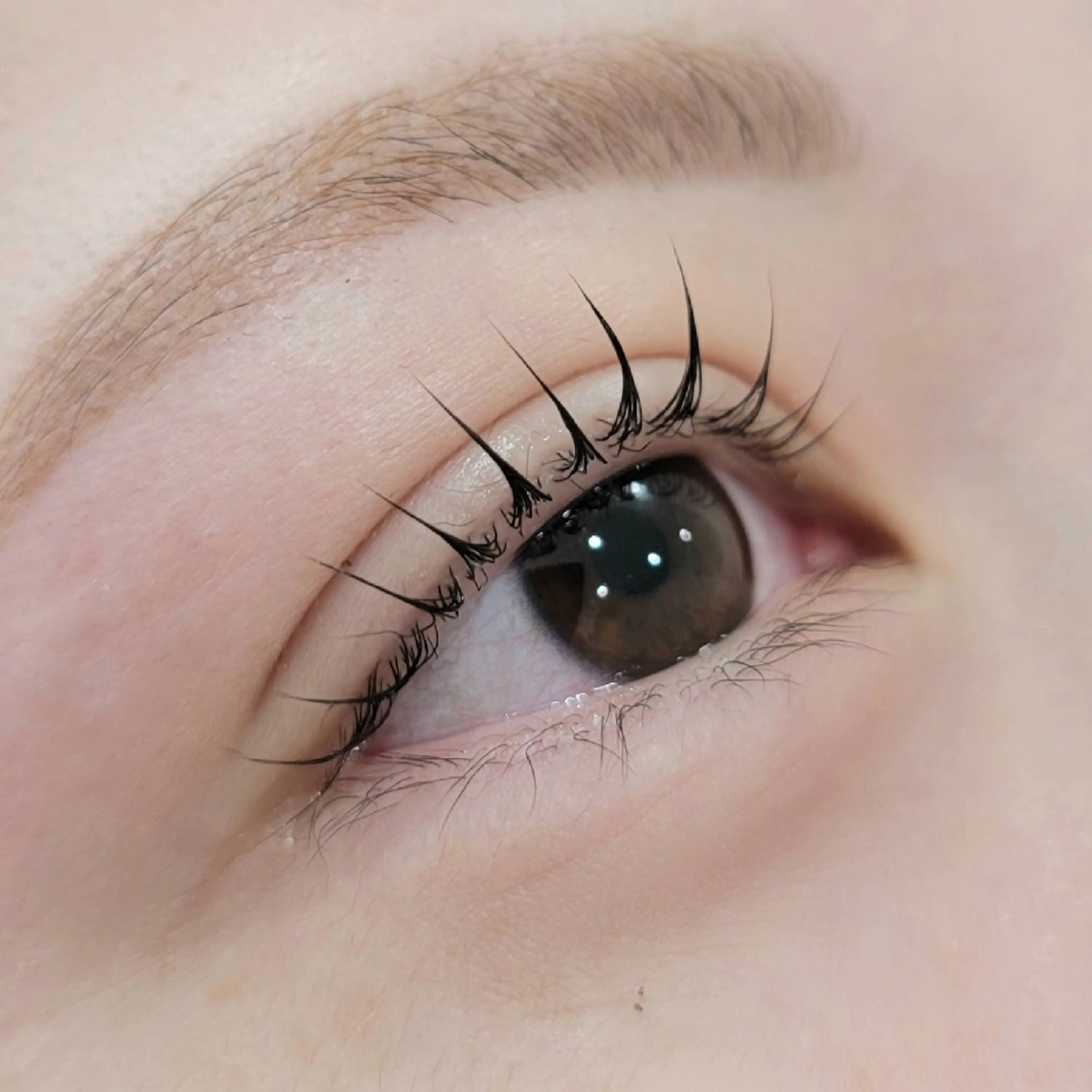 ☆12月限定☆まつぱ×眉WAX7980円の写真