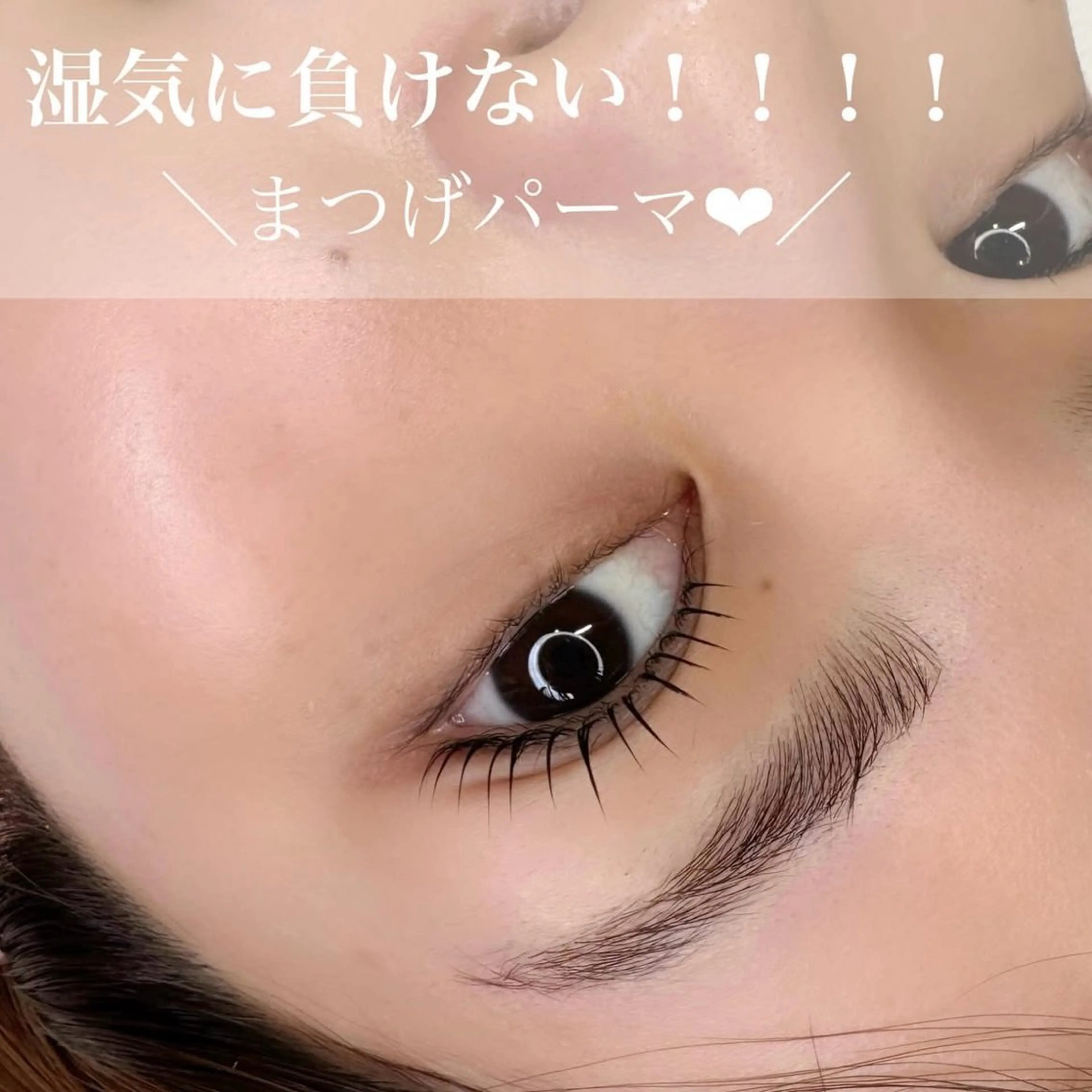 マツエク・マツパ petit【プティ】所属・kotori harukaの眉毛・アイブロウイメージ