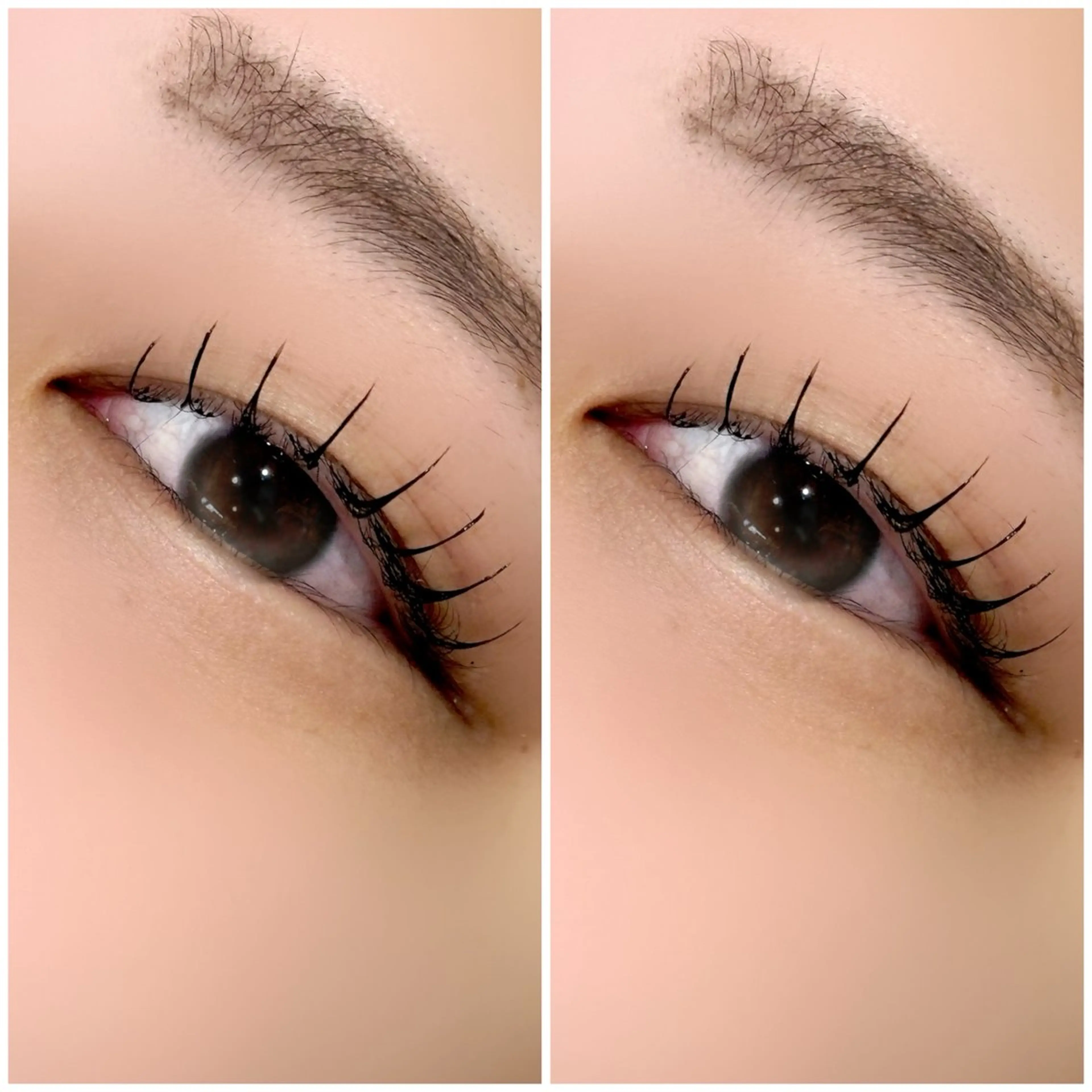 LEDマツエク80本の写真