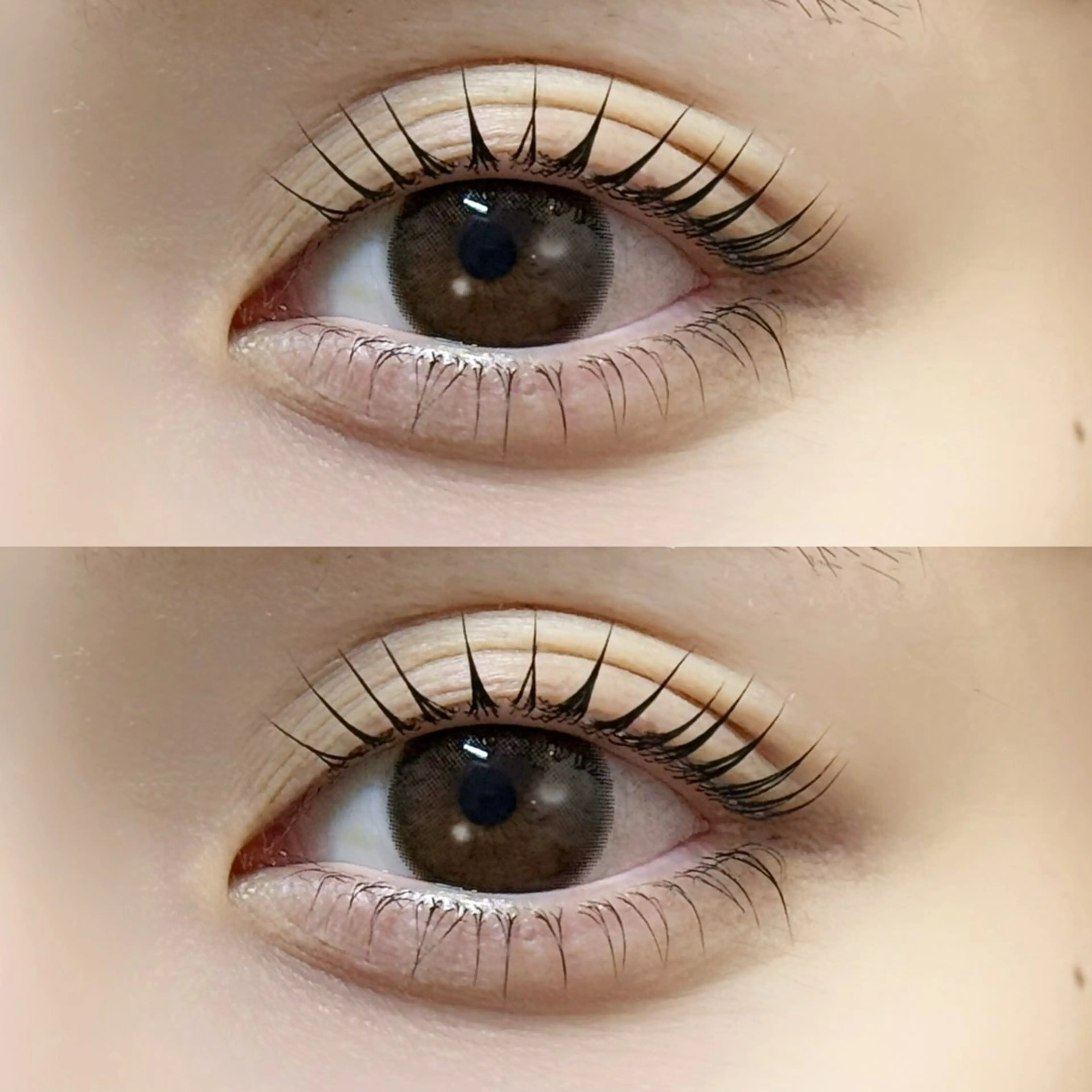 マツエク・マツパ マツパ 𝐞𝐢𝐠𝐡𝐭 yuzuki🫧の眉毛・アイブロウイメージ