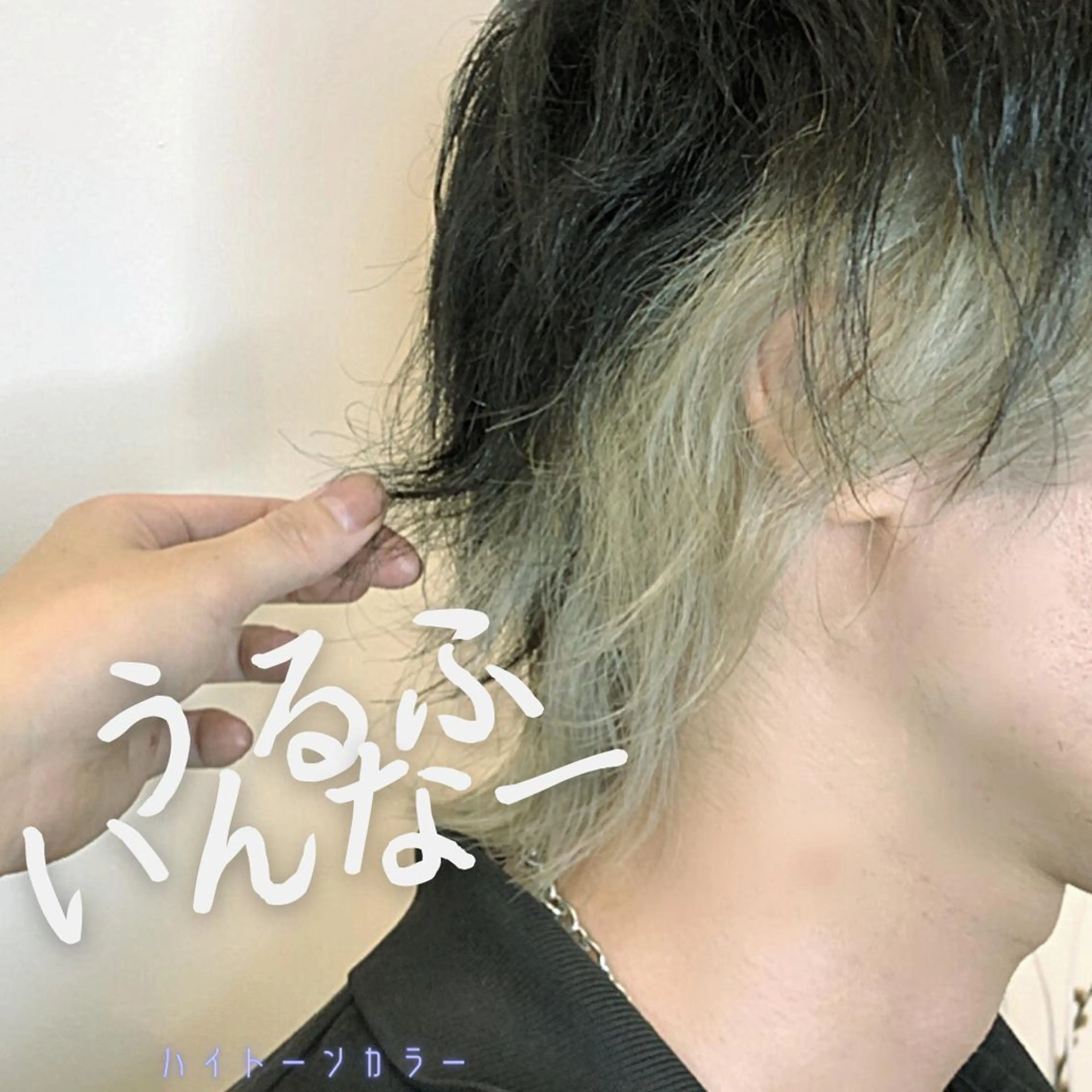 ショート カラー メンズ メンズウルフカット ウルフカット カット ヘアカラー MATSURI BASE.AWAJIのヘアスタイル