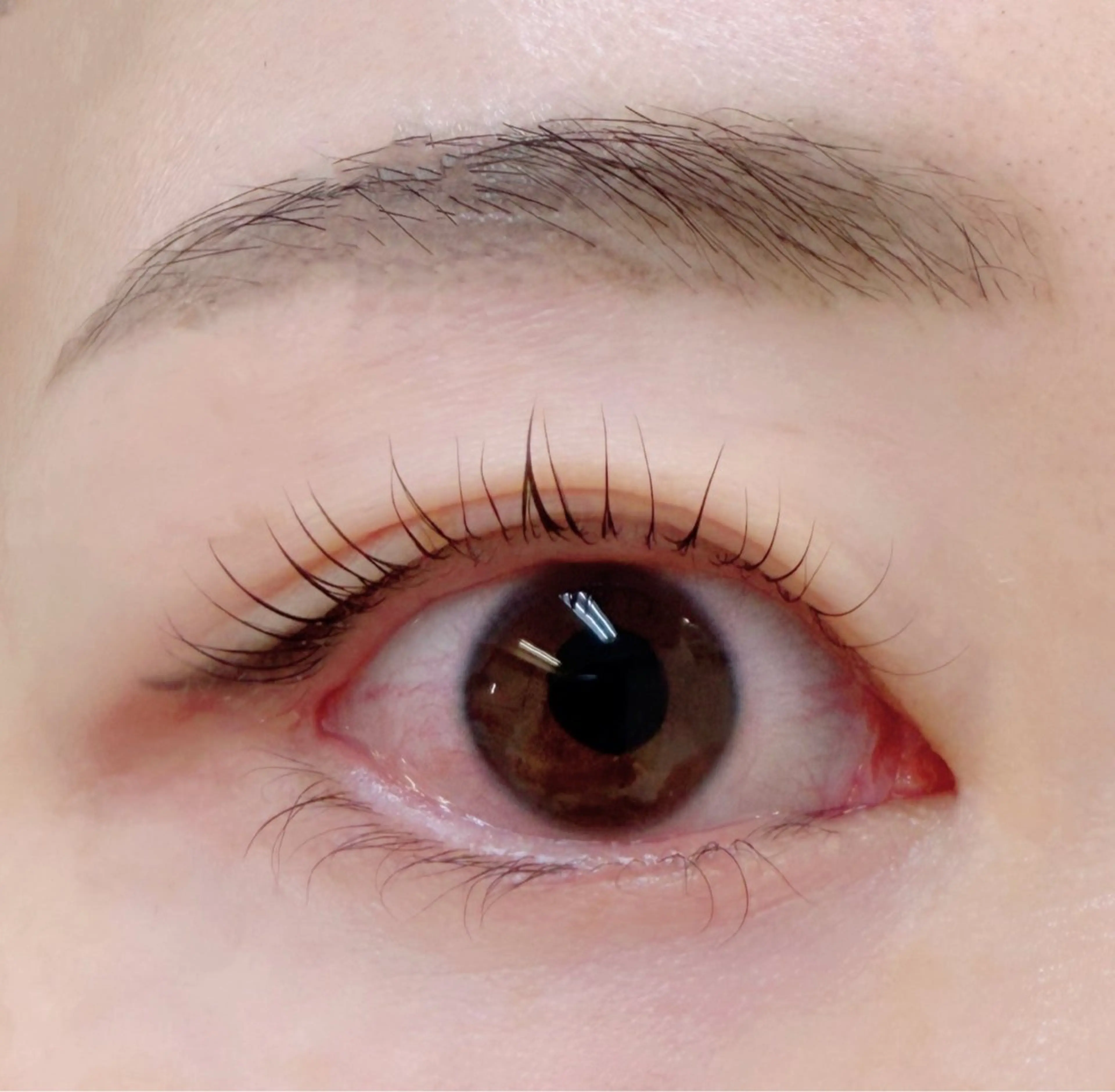 マツエク・マツパ Cカール FIORE  大門 すずかのマツエク・マツパデザイン