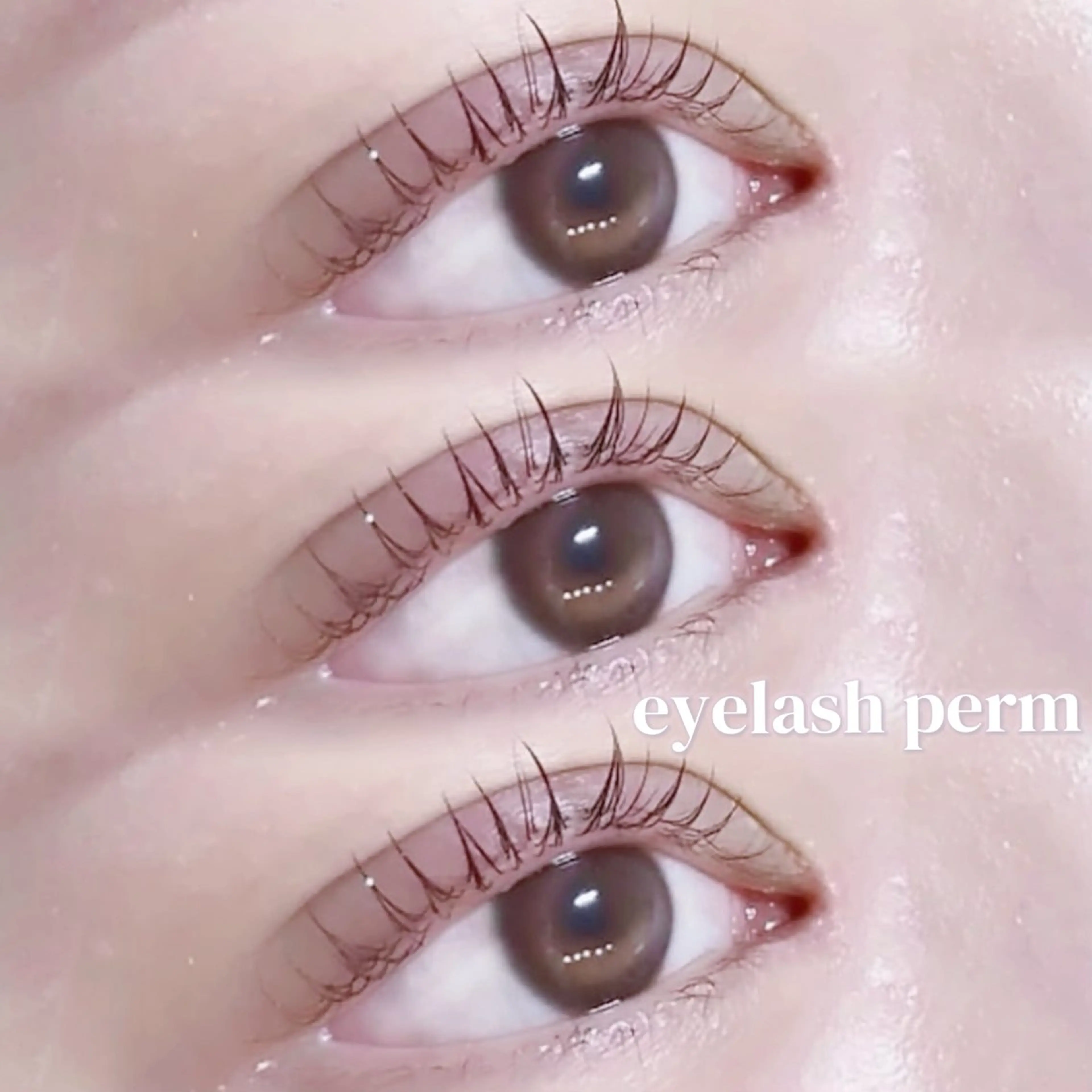 ྀི コーティング付♡まつげパーマ  ྀིの写真