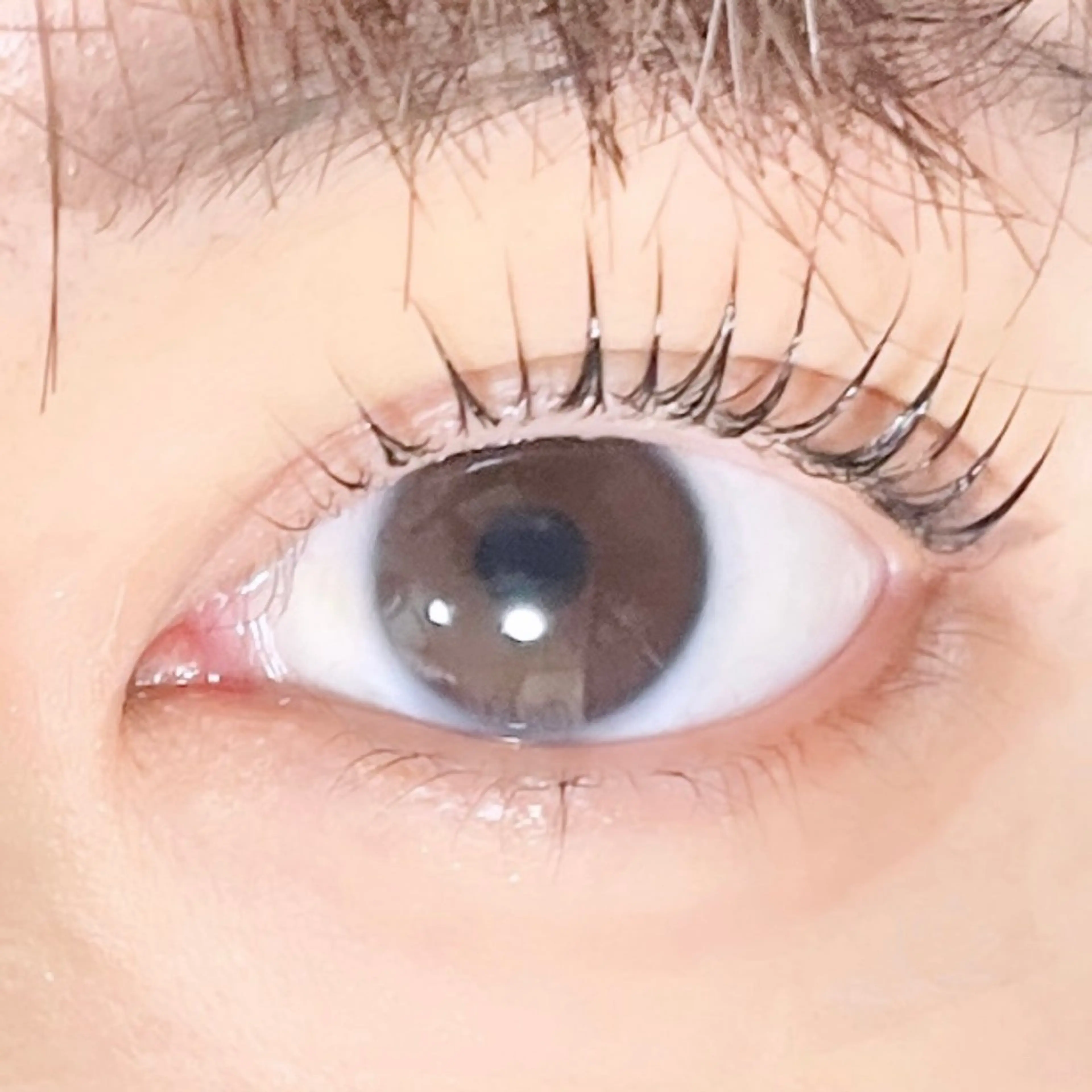 マツエク・マツパ TAKEO🖤 マリーテレジア藤が丘のマツエク・マツパデザイン