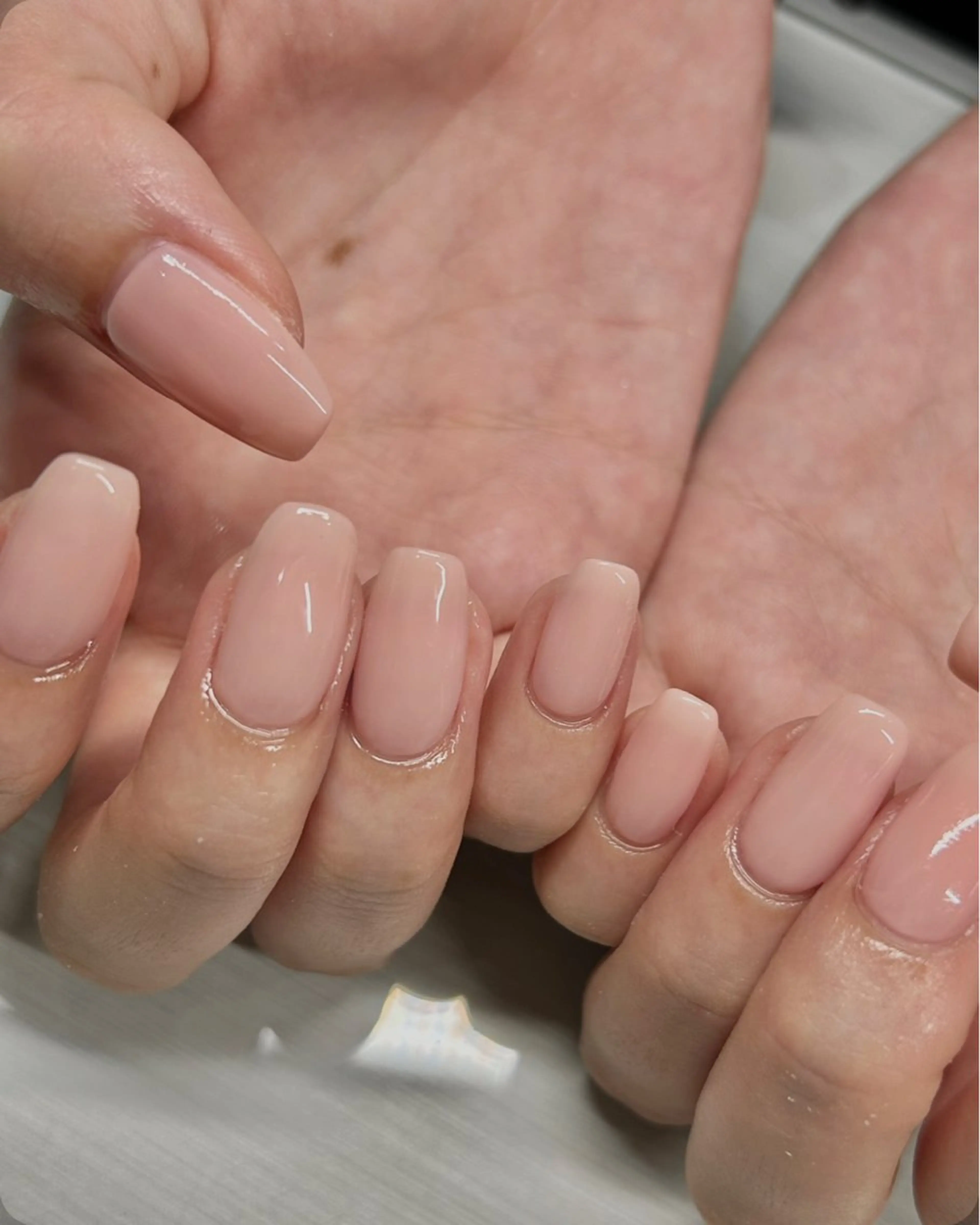 平日12-16時限定⚠️ワンカラーの写真