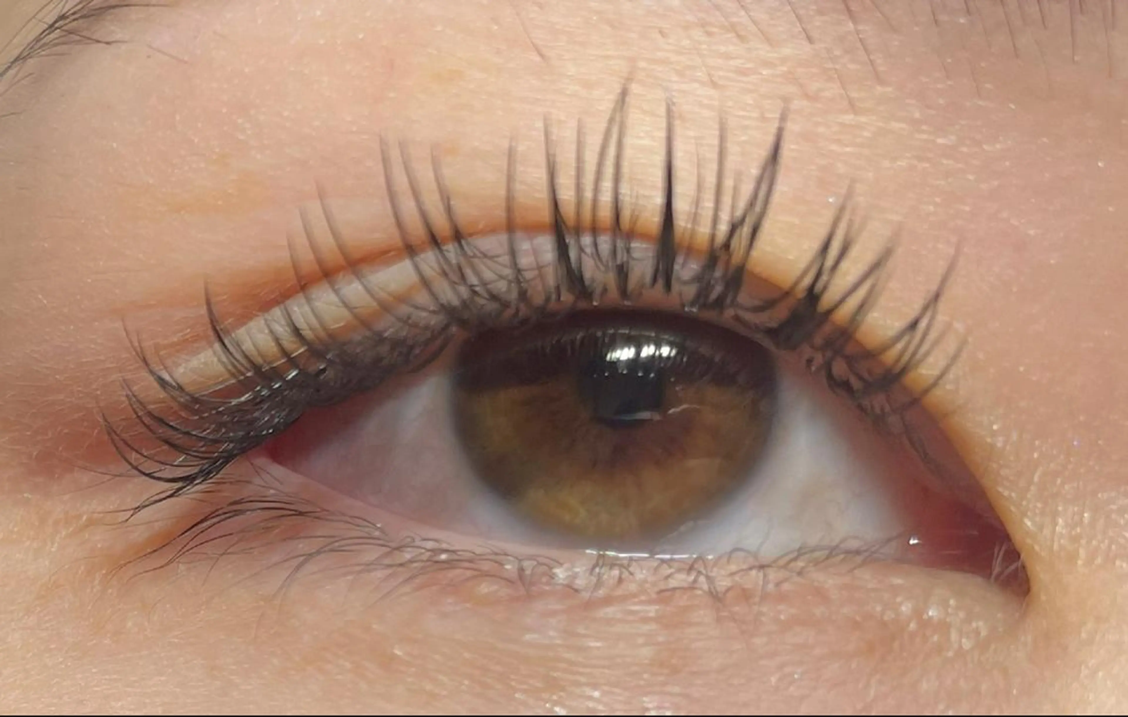 マツエク・マツパ キュート princess 森 碧海のマツエク・マツパデザイン