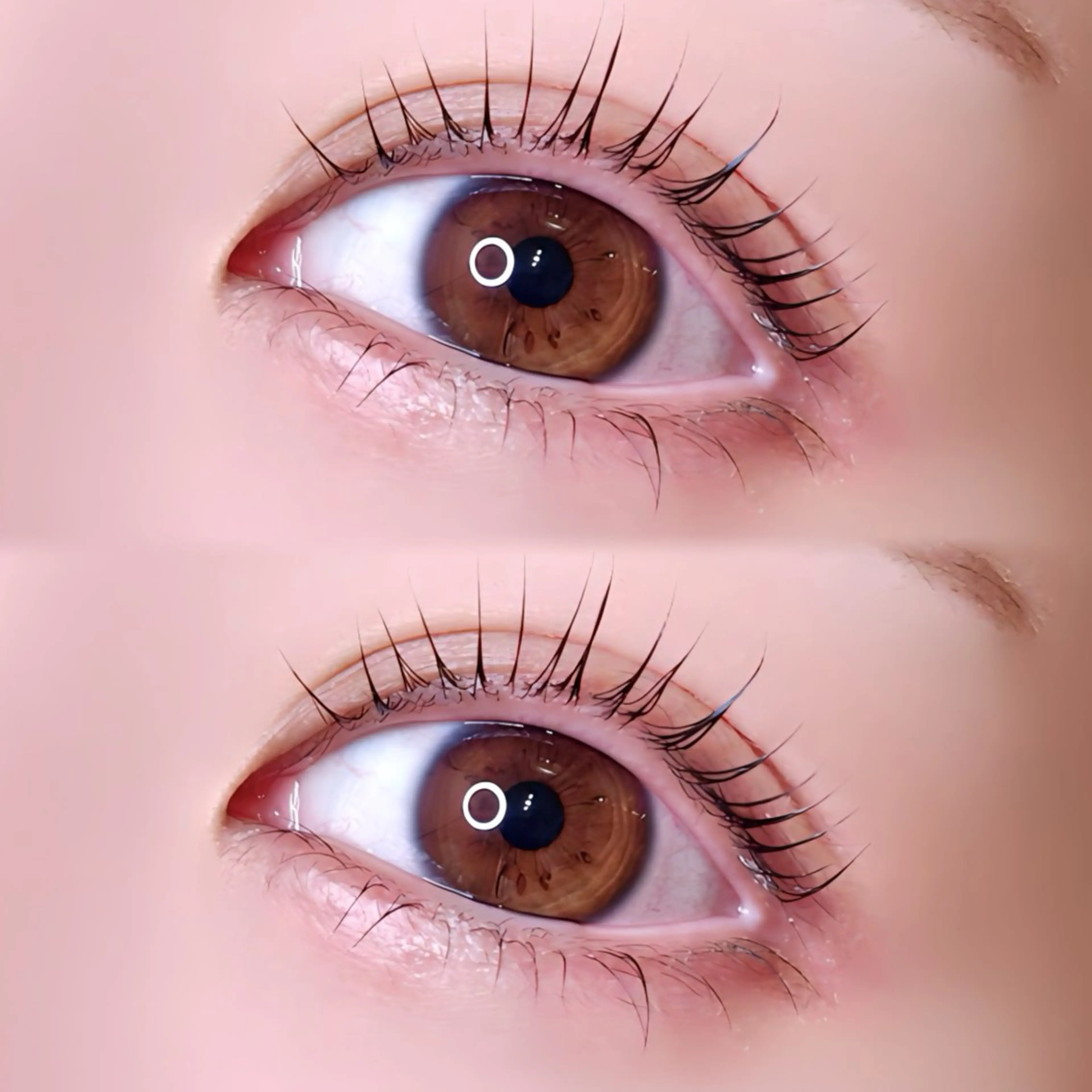 まつ毛パーマ上下【12月限定価格】🪽ྀིの写真