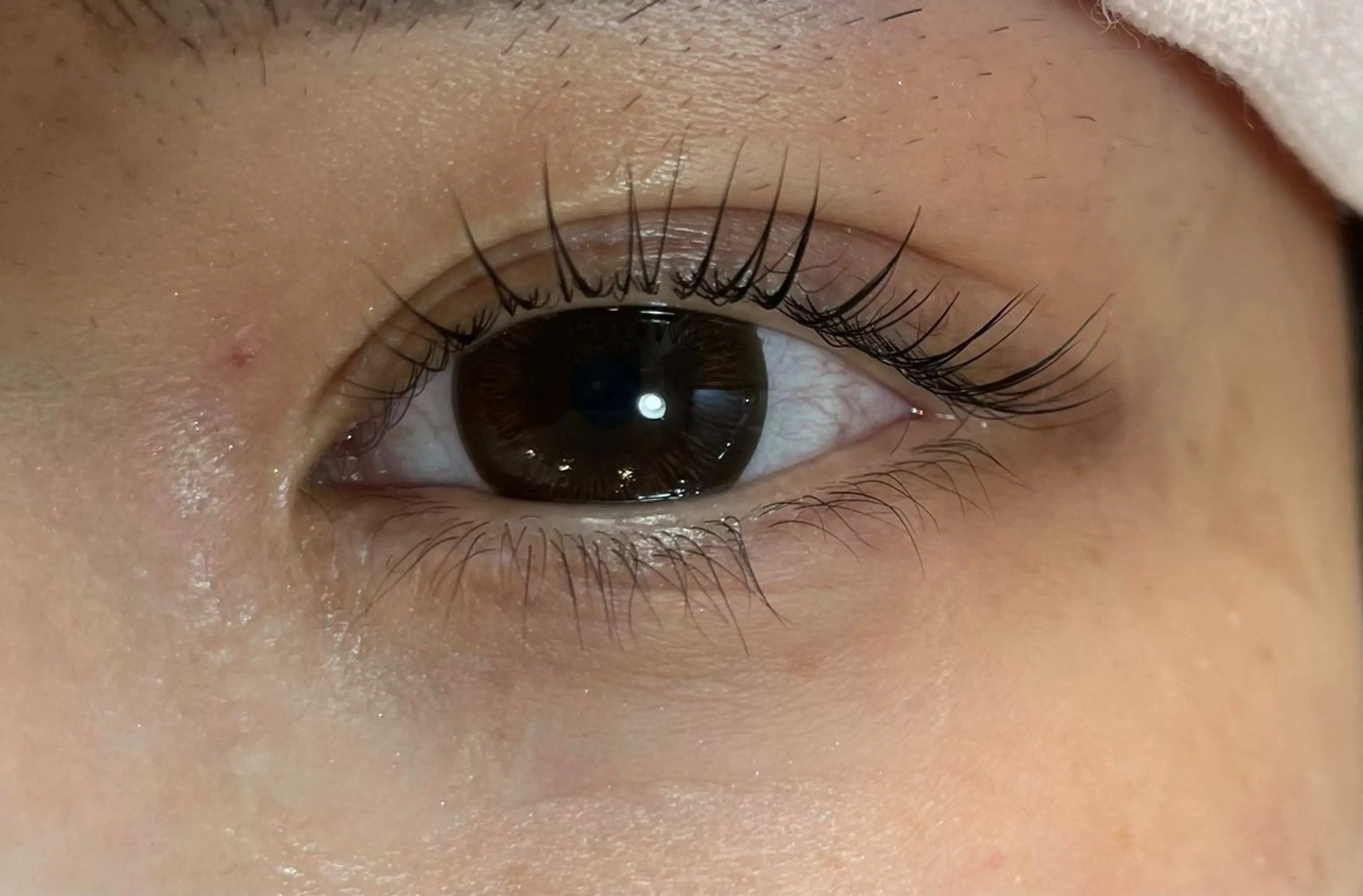 マツエク・マツパ マツパ bien 🐈‍⬛の眉毛・アイブロウイメージ