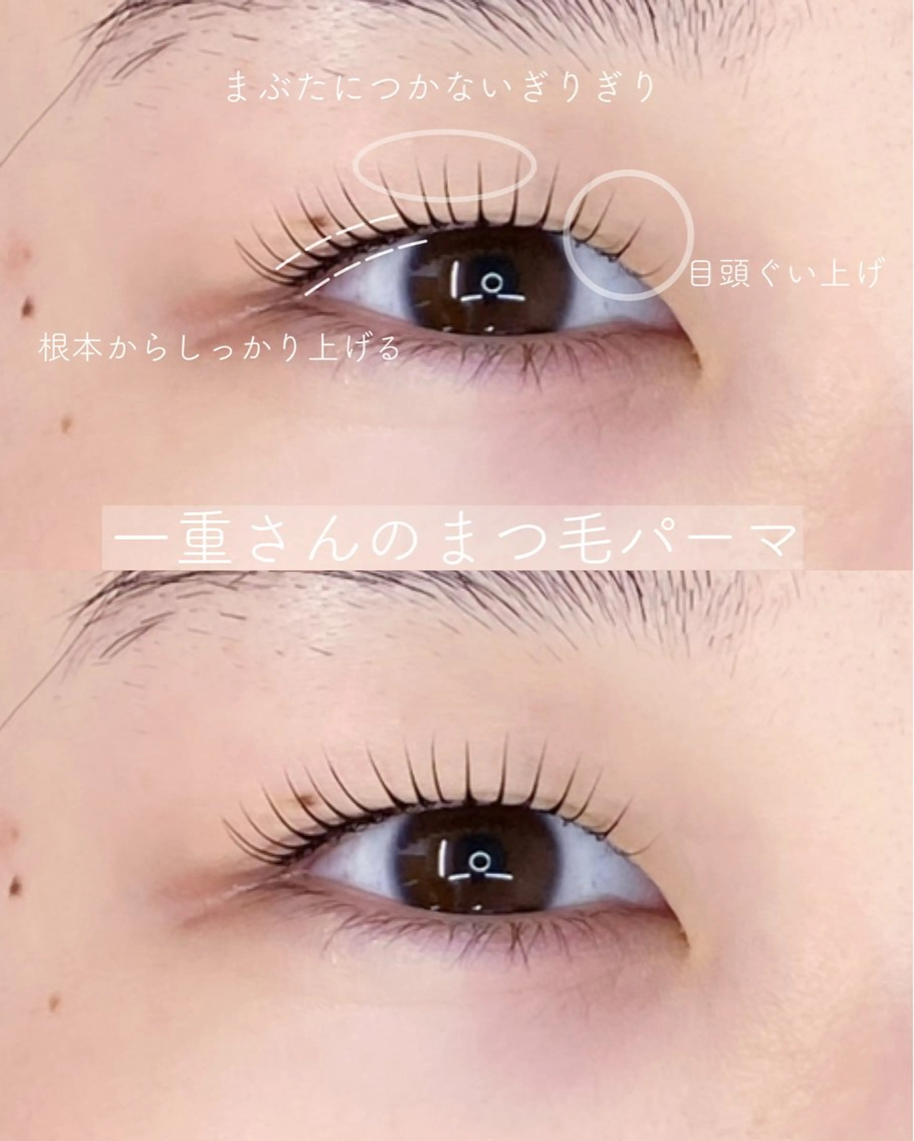 マツエク・マツパ マツパ Dahlia _wakaのマツエク・マツパデザイン