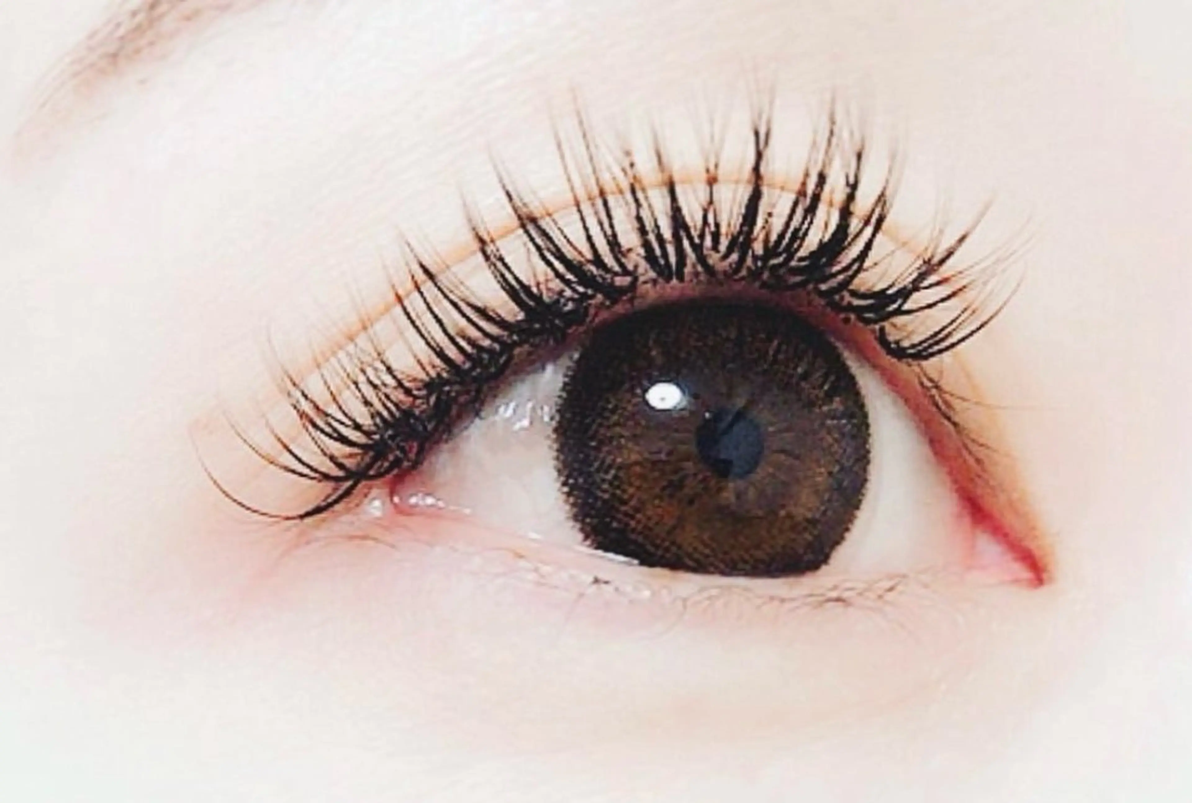 １２／２５どの毛質でもご相談１２０本💓→￥４６６０の写真