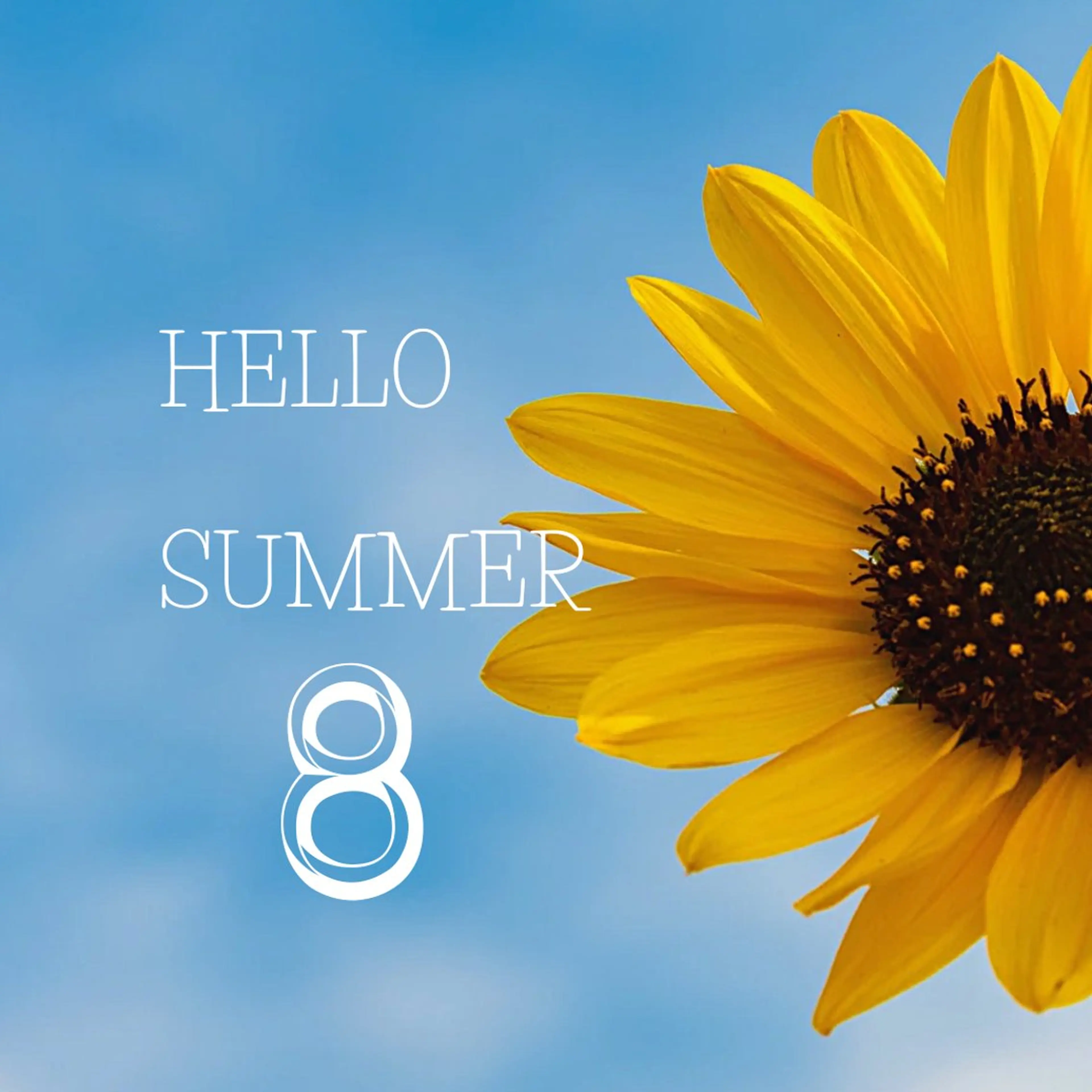 ワックス脱毛 眉カット Hathor..所属・【元住吉】 YUKIKOのマツエク・マツパデザイン