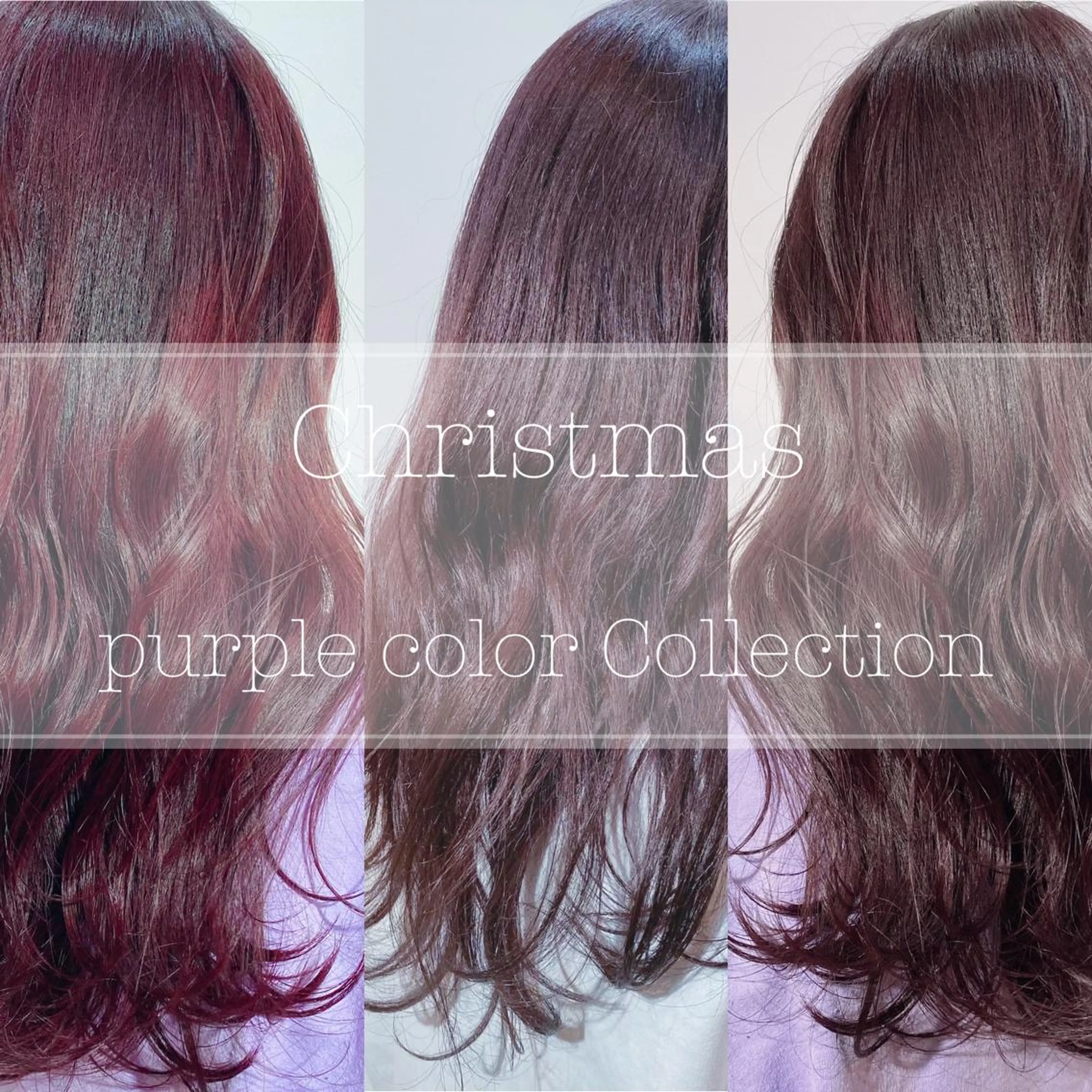 セミロング カラー 新宿/韓国風レイヤー 髪質改善/渋谷直樹のヘアスタイル