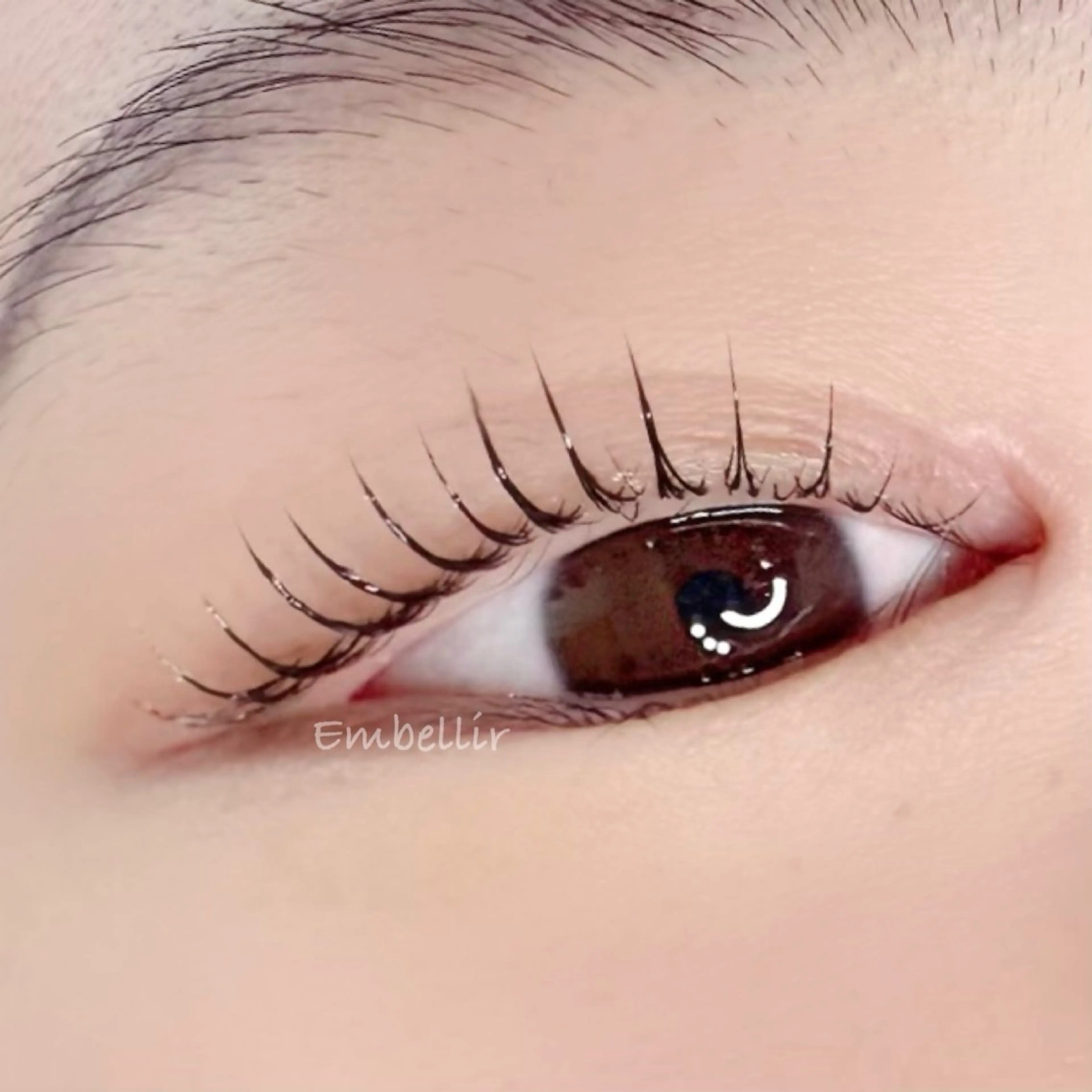 マツエク・マツパ 一重×まつ毛パーマ マツパ Embellir所属・Embellir Tamamiのマツエク・マツパデザイン