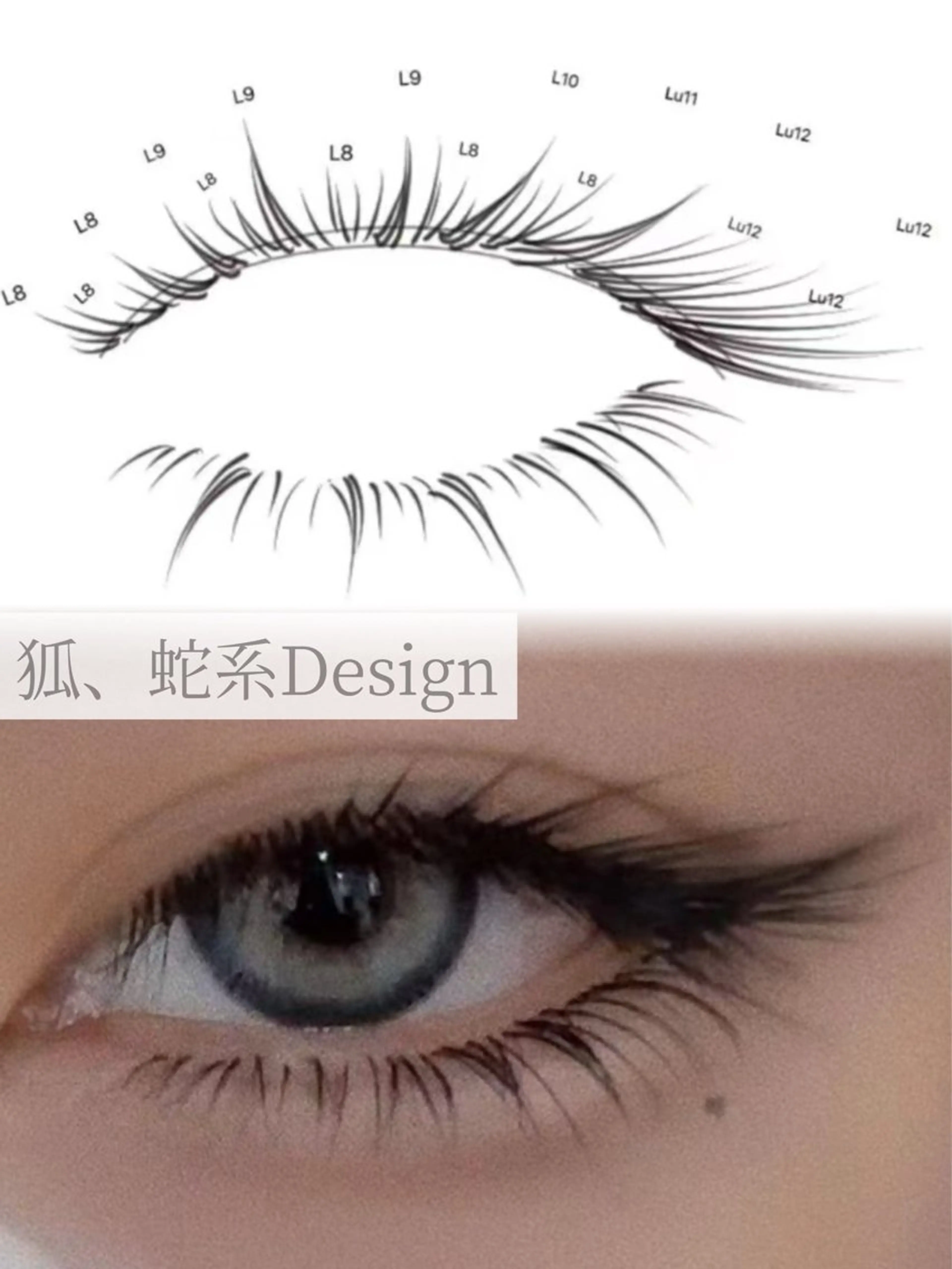 🎀【狐、蛇、龍、蝶Design】2回目以降13980の写真