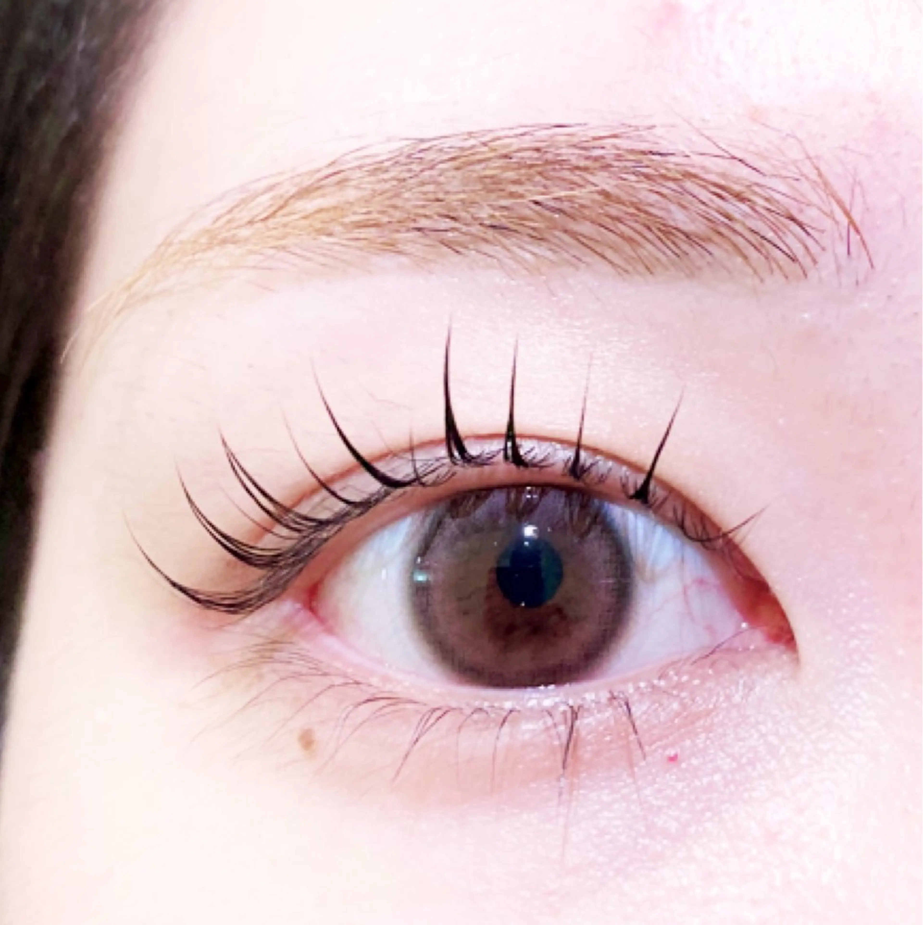 マツエク・マツパ 束感まつ毛 ✨sylph✨ MADOKA✨のマツエク・マツパデザイン