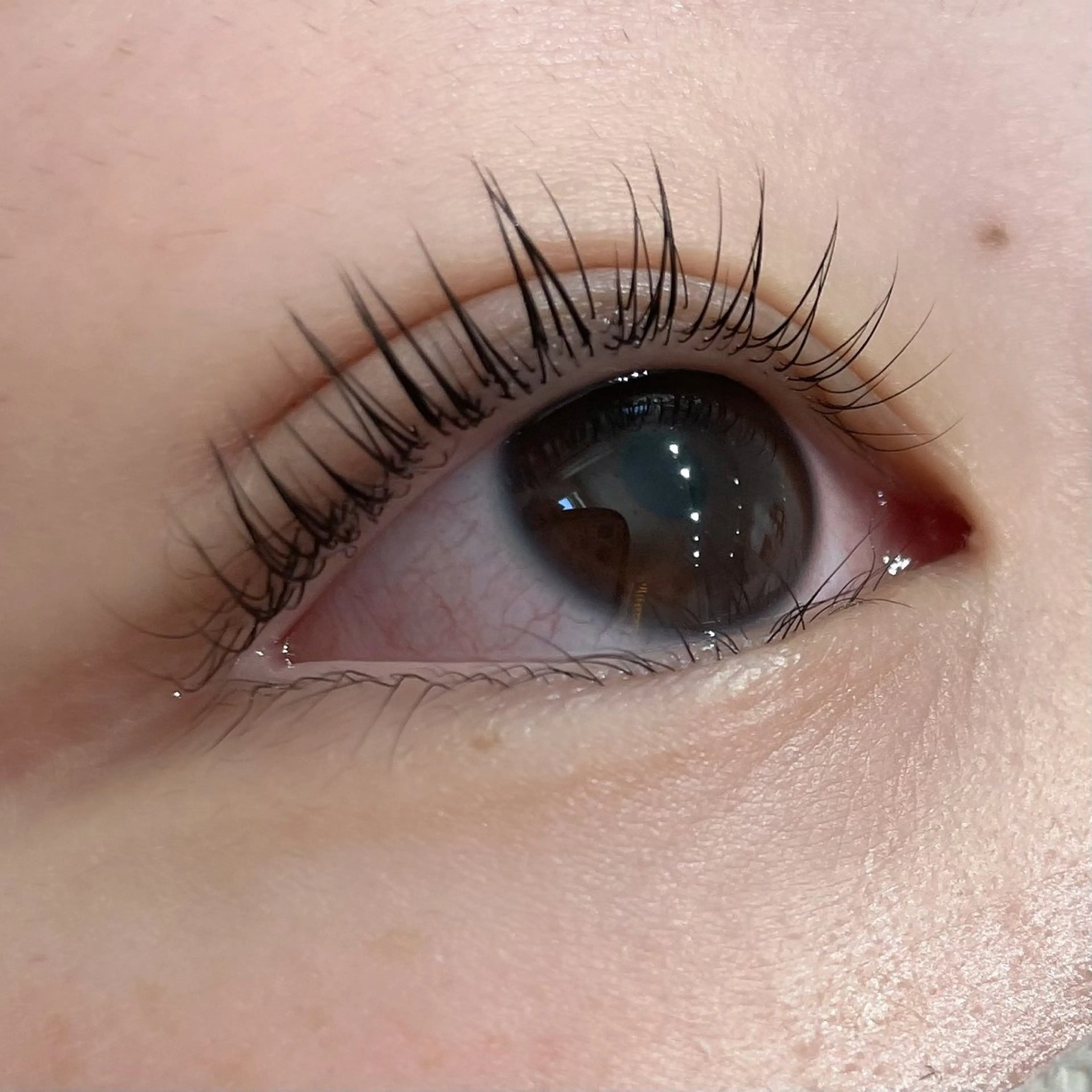 マツエク・マツパ マツパ Koti sakai mayuのマツエク・マツパデザイン