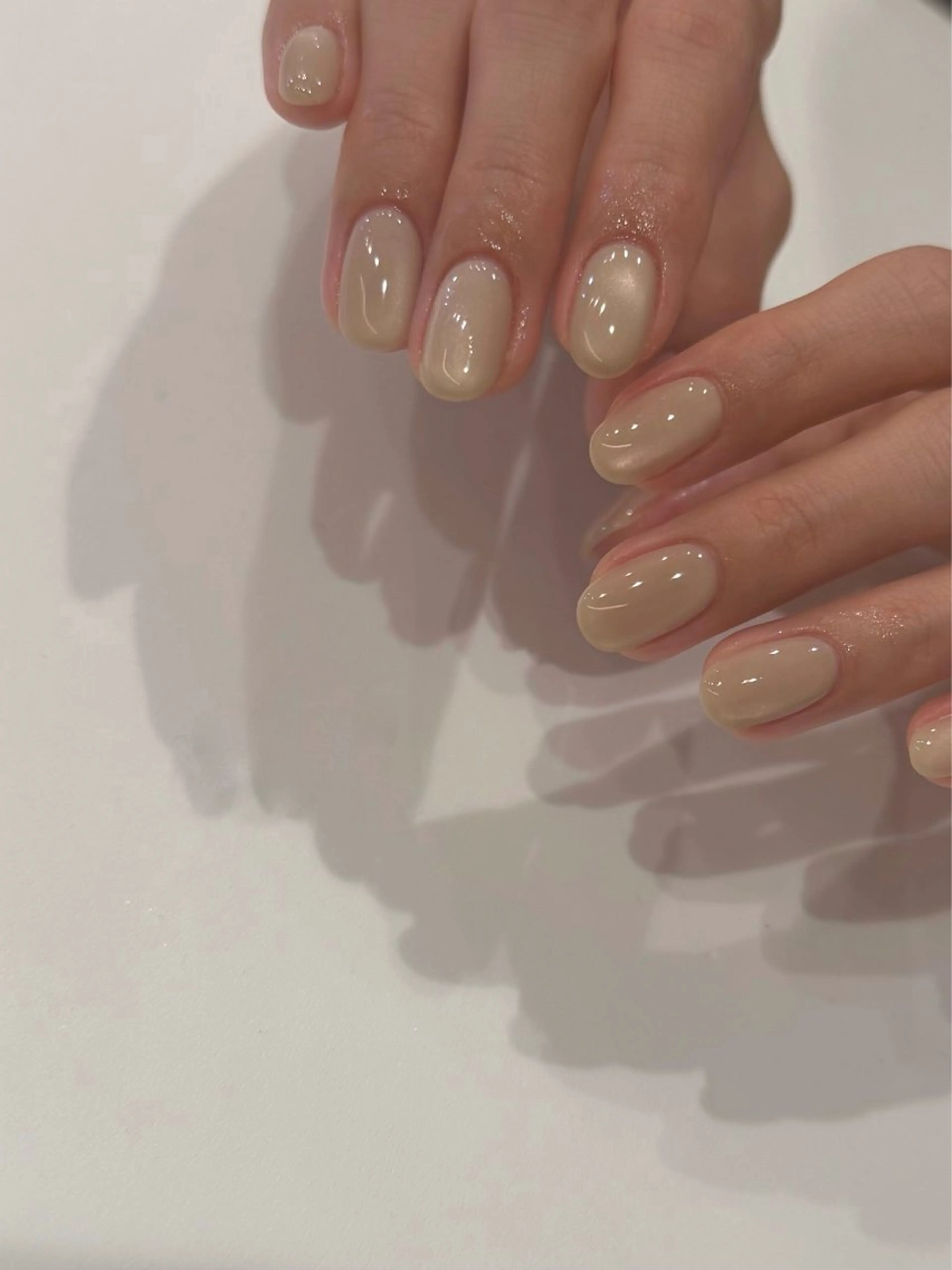 【ご新規様オフ無料】マグネット●ワンカラーの写真