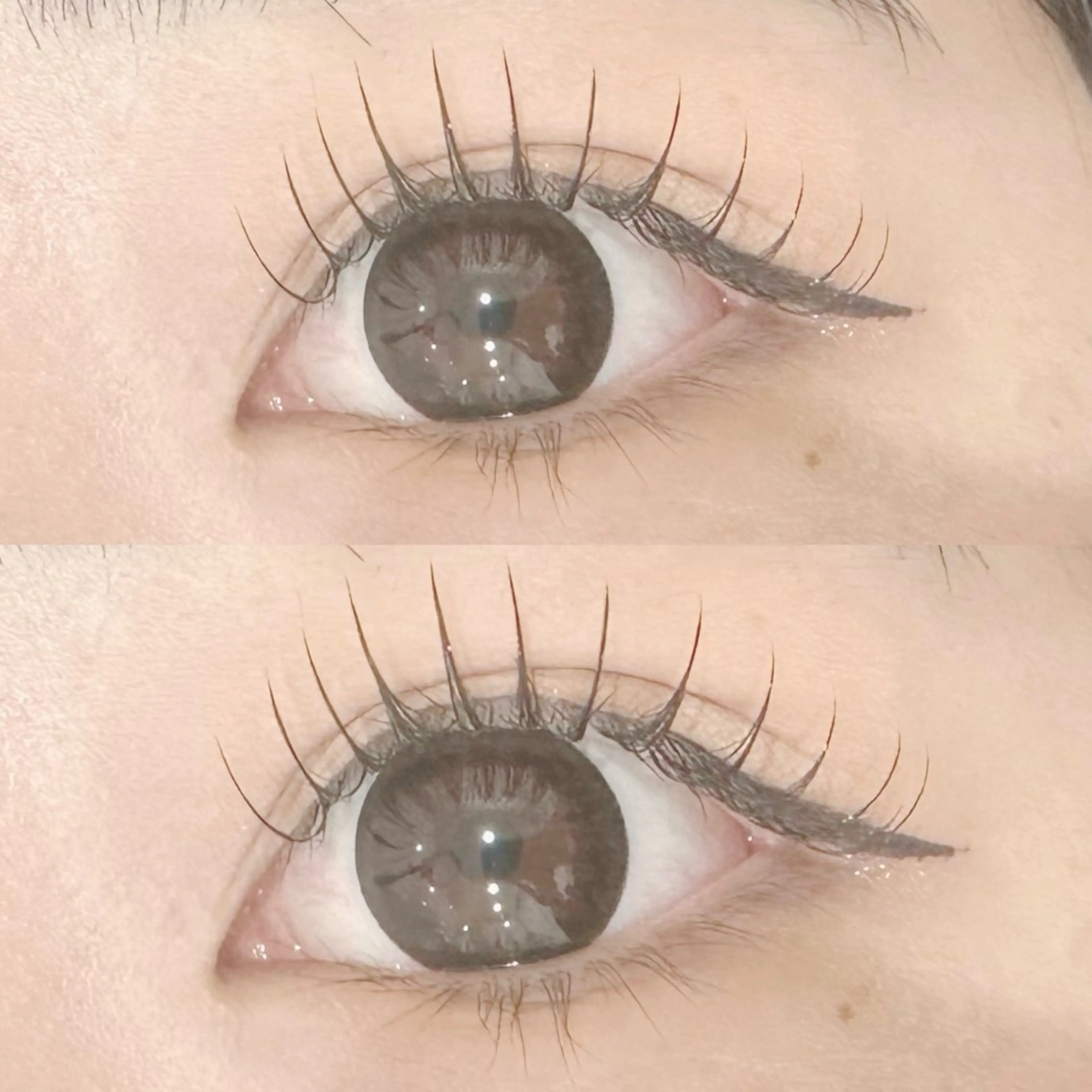 マツエク・マツパ Dカール Eye be Lush横浜店所属・EyebeLush 横浜店のマツエク・マツパデザイン