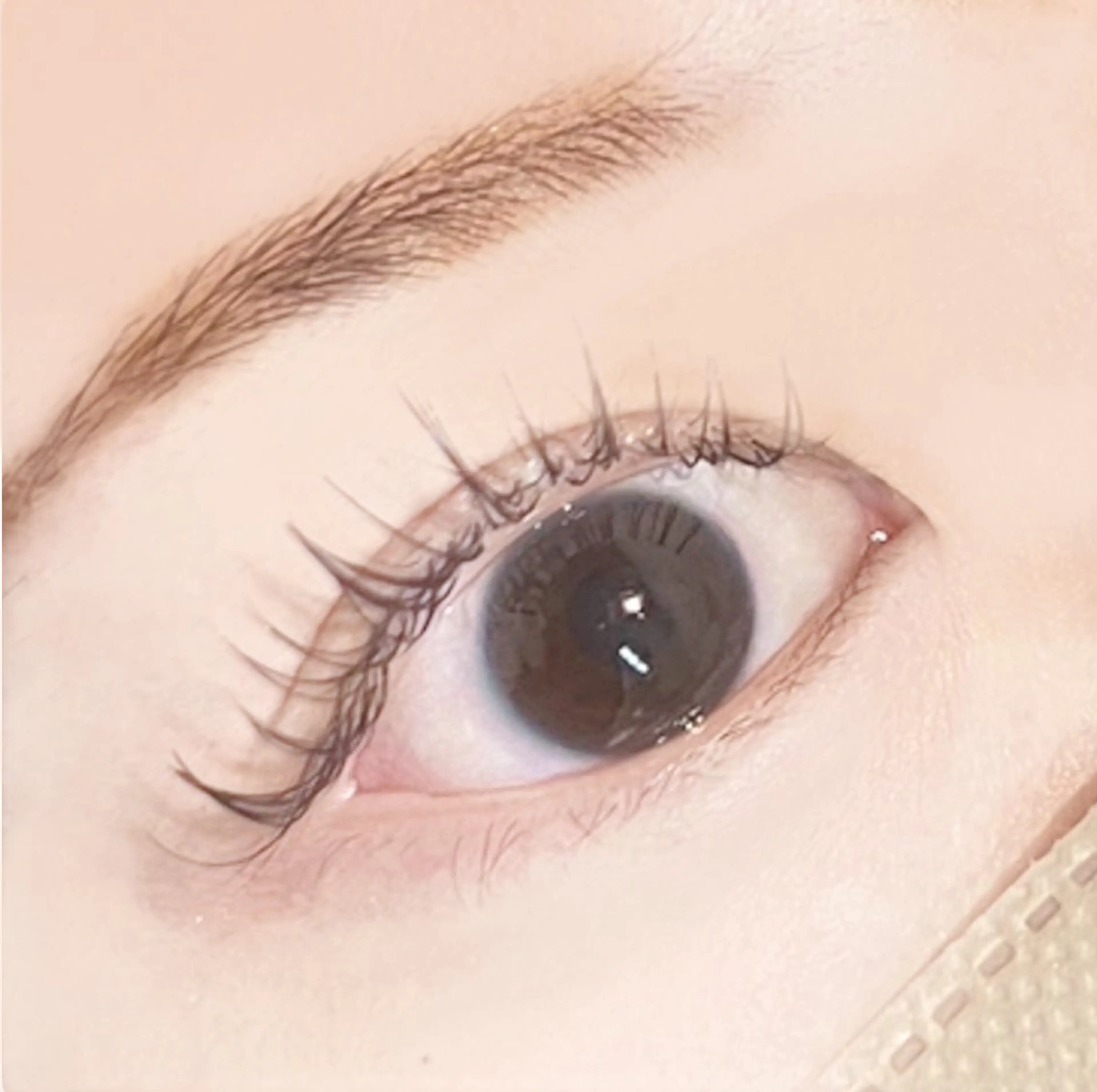 マツエク・マツパ PLUS EYE 自由が丘店所属・🎀田村 紗貴子🎀のマツエク・マツパデザイン