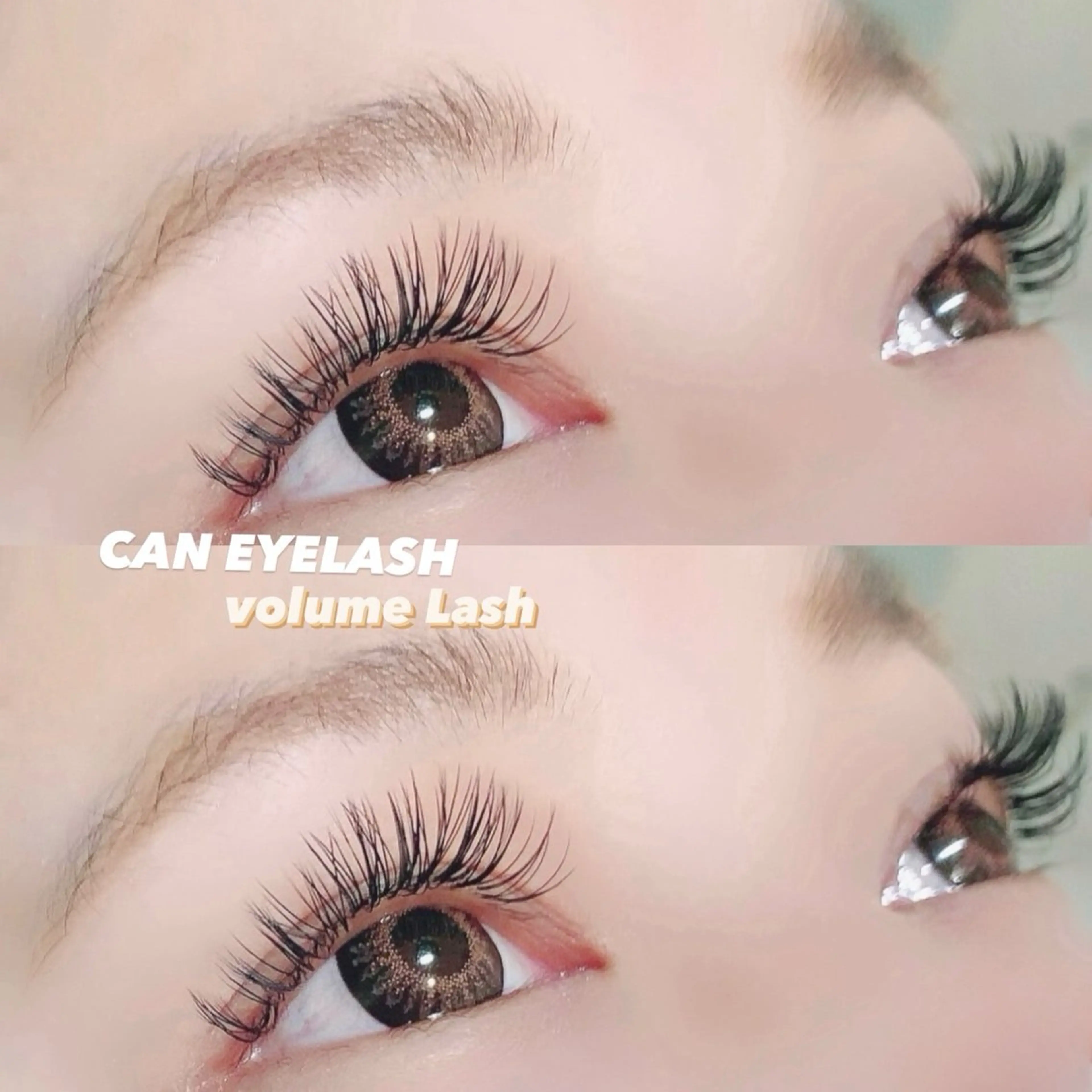 ボリュームラッシュ100束（オフ無料）の写真