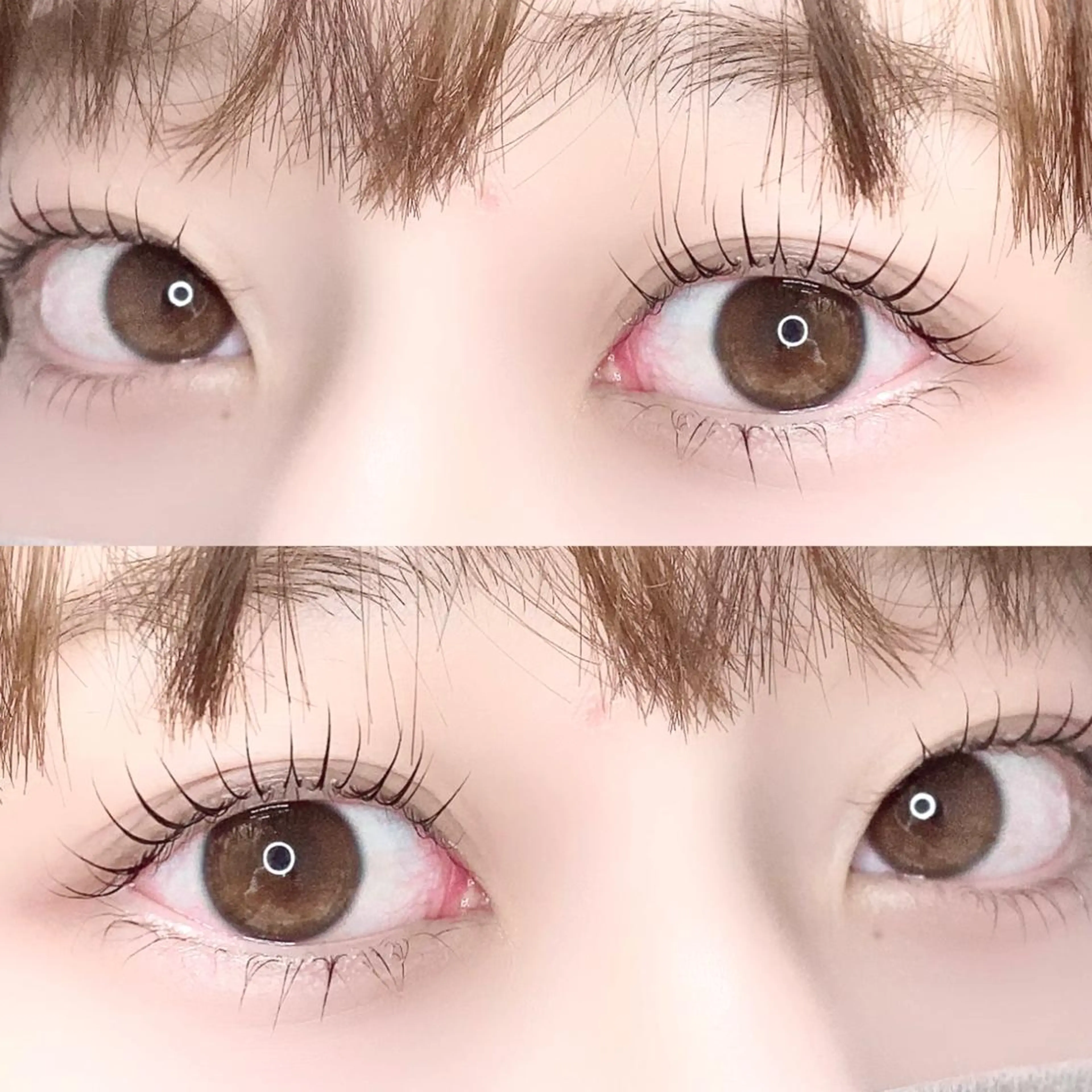 マツエク・マツパ eyelashsalon "Koa"所属・eyelash "Koa"🕊🤎のマツエク・マツパデザイン