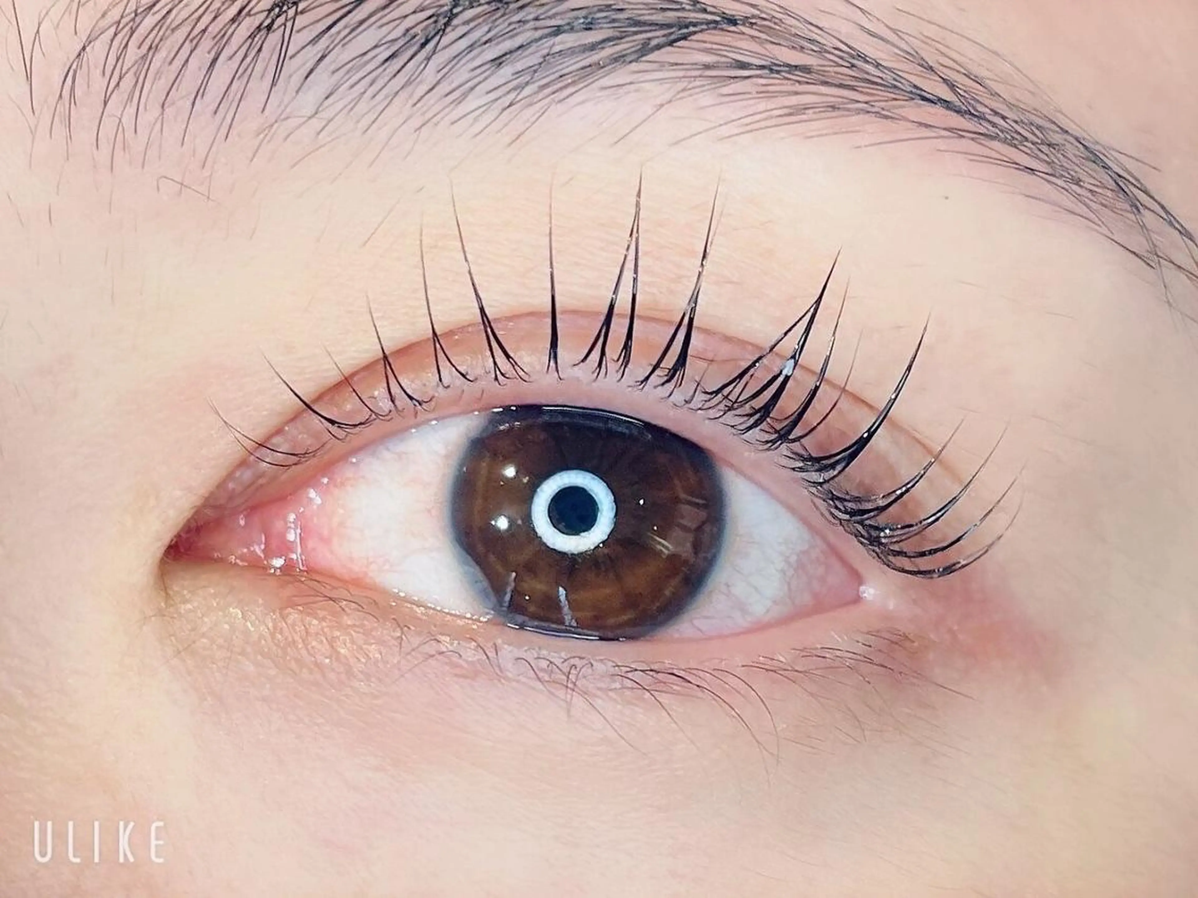 マツエク・マツパ パリジェンヌラッシュリフト Ai Quick 阿部🫧🐋の眉毛・アイブロウイメージ