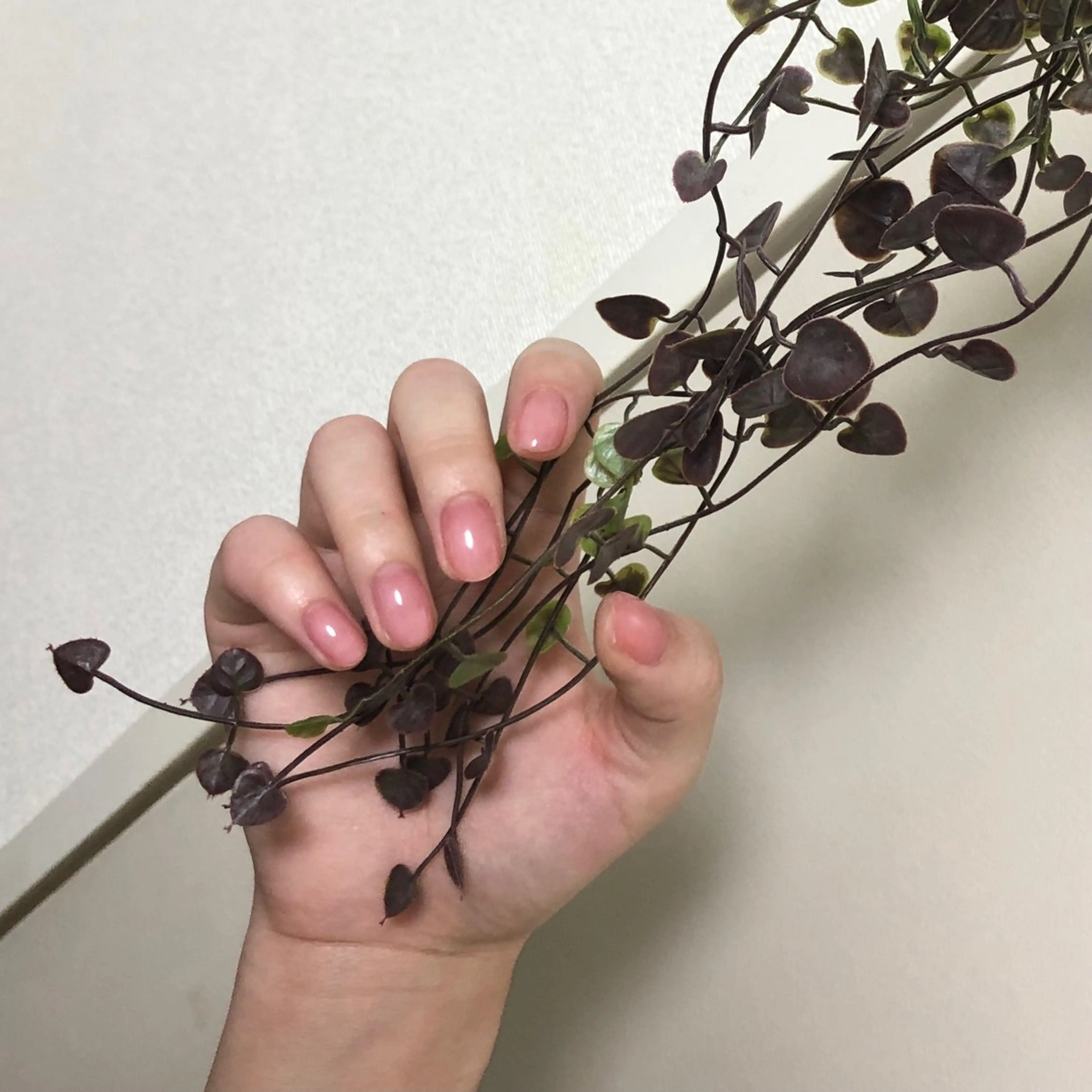 ネイル クリアネイル ピンク 春ネイル m美.所属・m美.ーエムミー 【nail&eye】のネイルデザイン