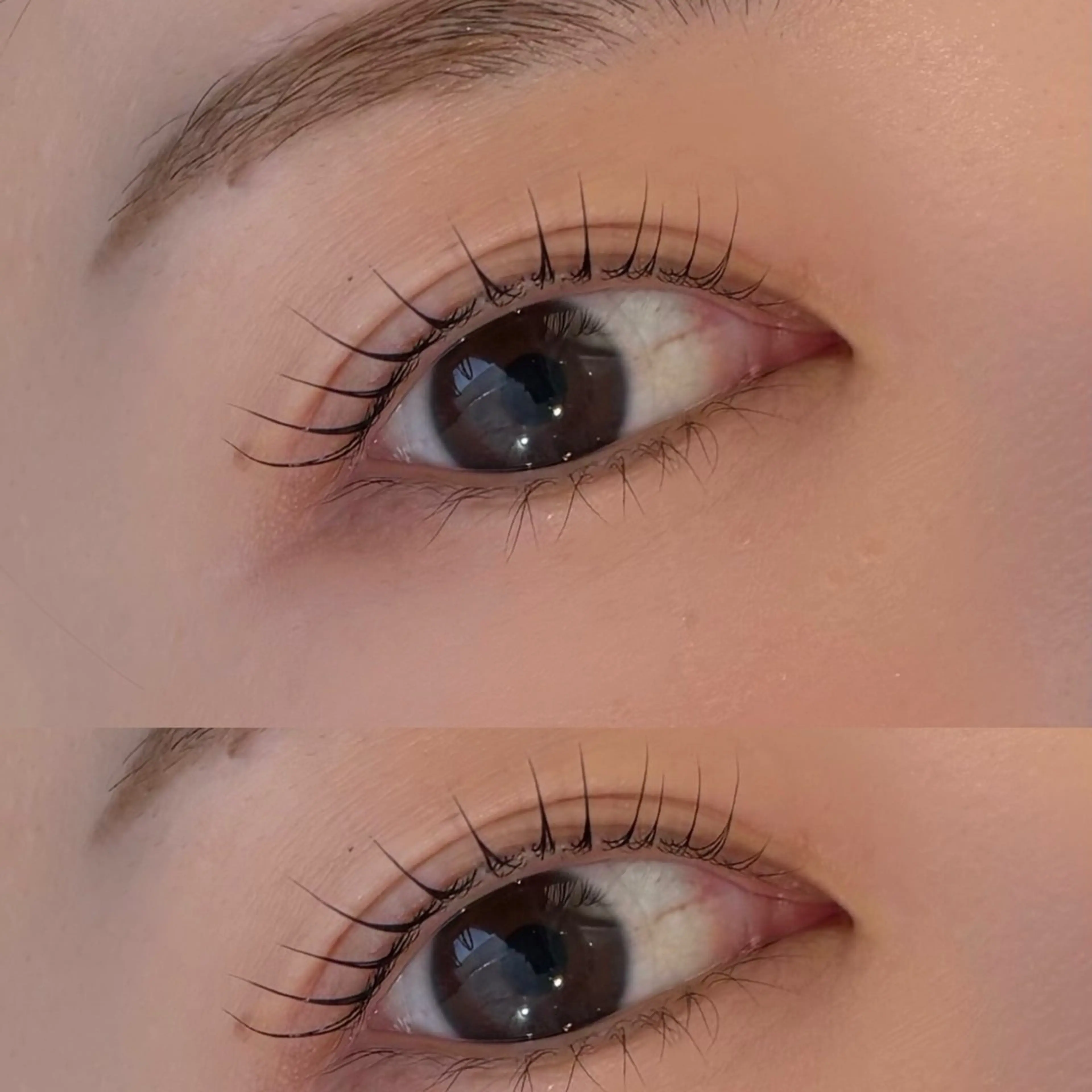 パリジェンヌラッシュリフトの写真