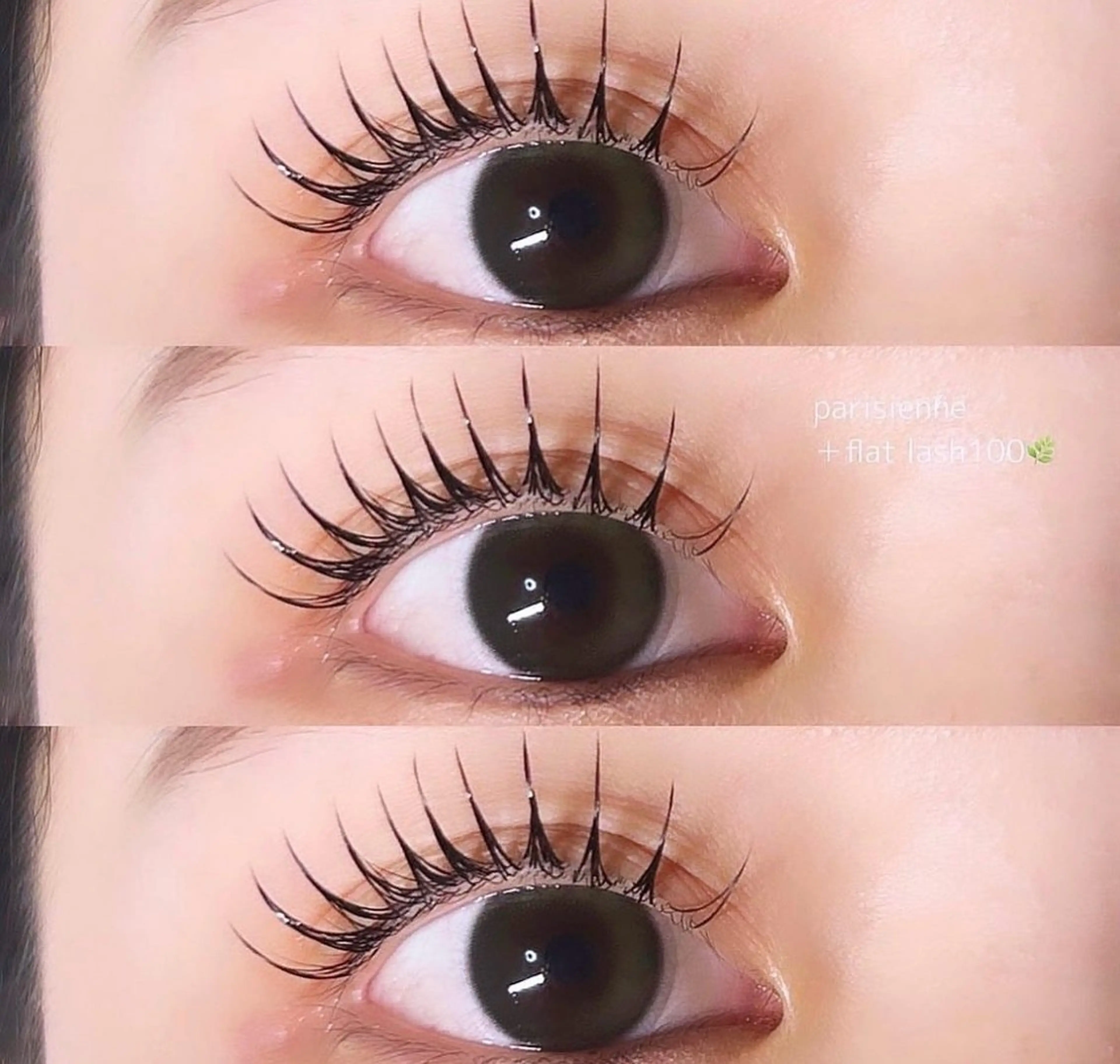 フラットラッシュ120本の写真