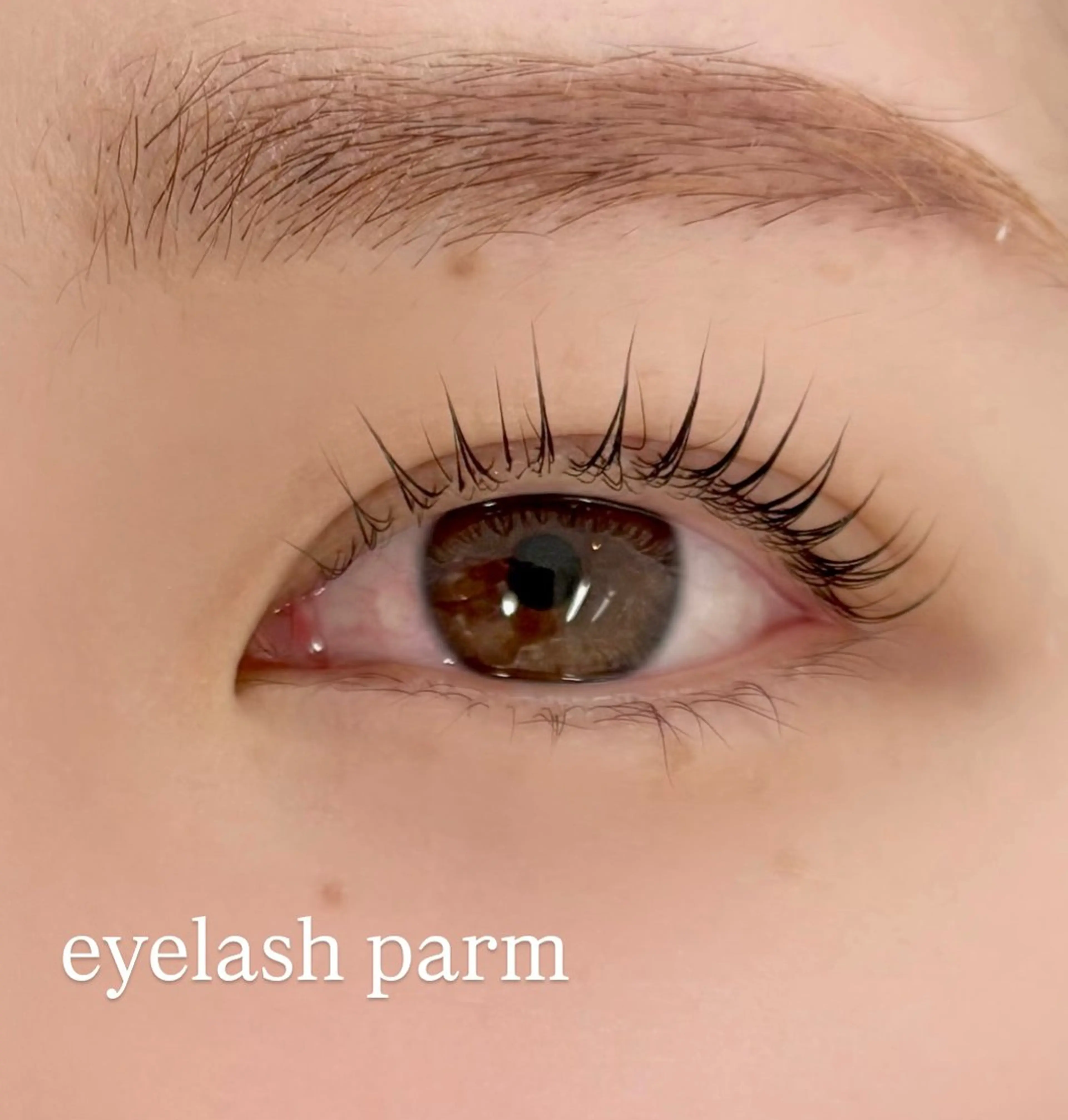 マツエク・マツパ 一重×まつ毛パーマ signpost 鈴木のマツエク・マツパデザイン