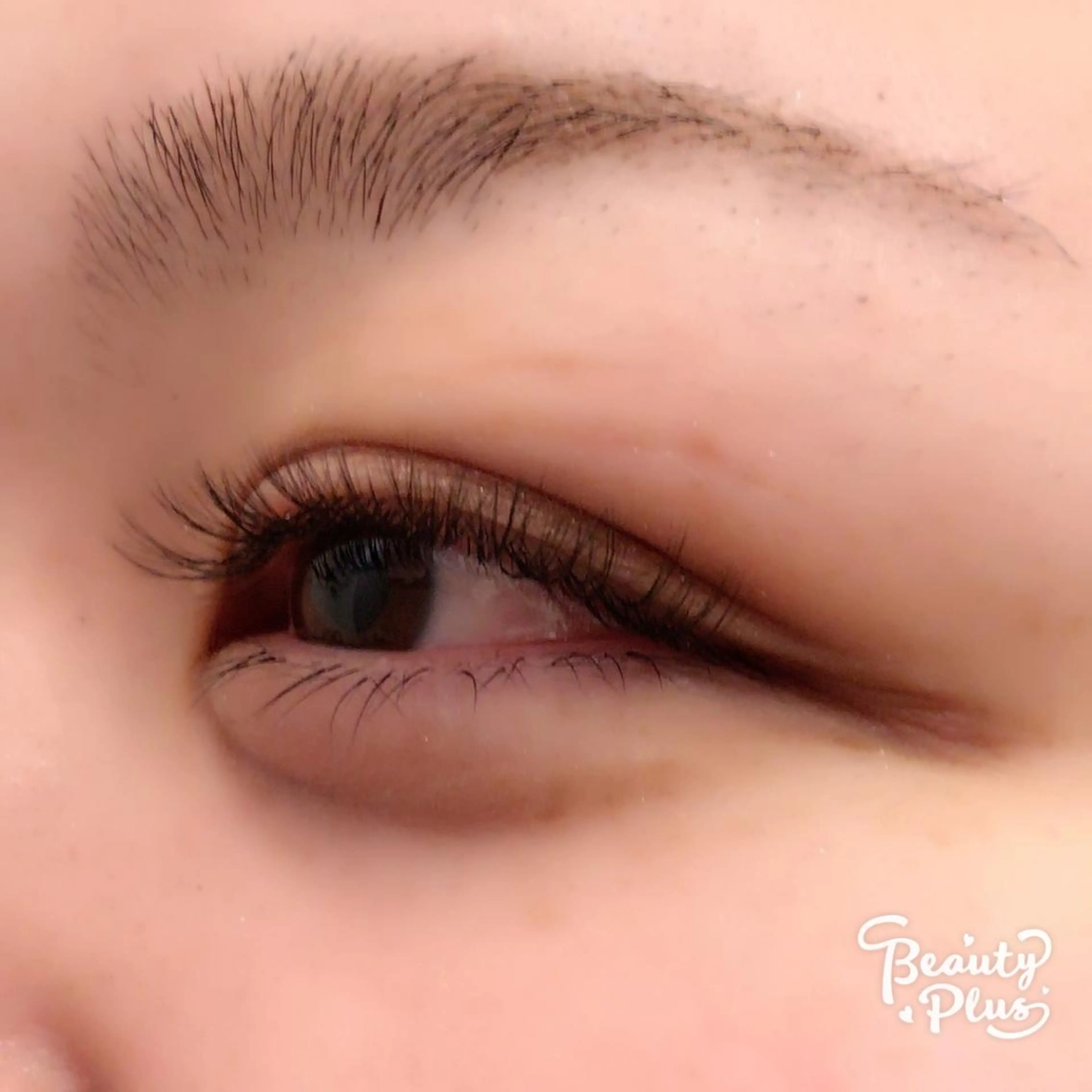 マツエク・マツパ ボリュームラッシュ アムールトロワ❤︎ sayakaのマツエク・マツパデザイン