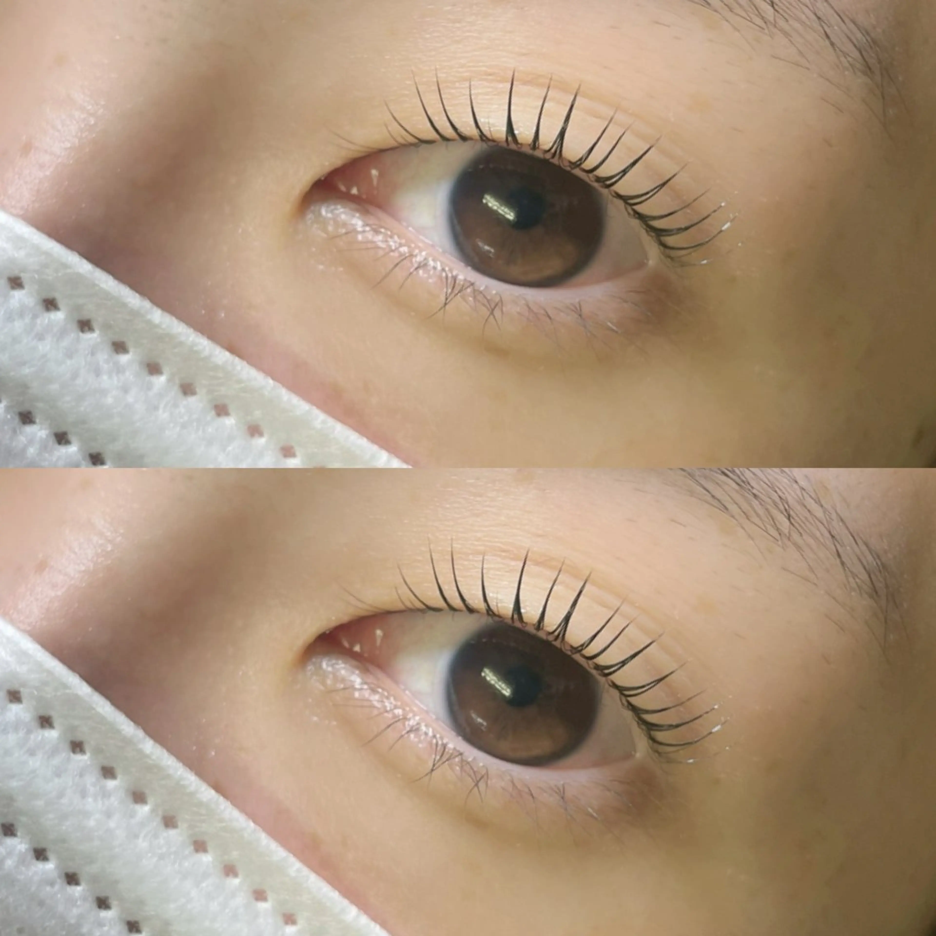 マツエク・マツパ マツパ リフュージュ　隠れ家所属・リフュージュ🌷 カホのマツエク・マツパデザイン