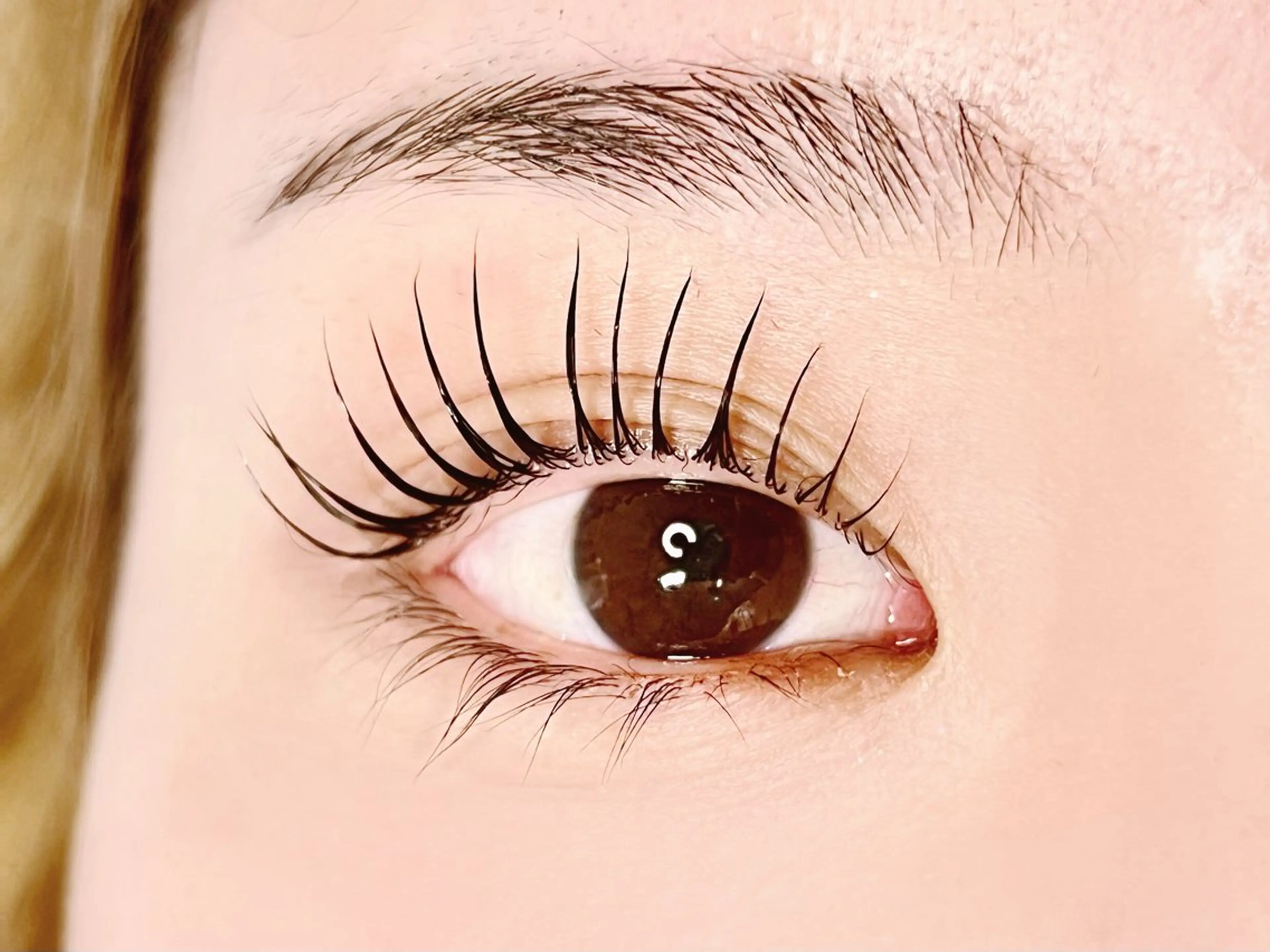 🌸SNSモデル🌸根元からしっかり上げるパリジェンヌラッシュリフトの写真