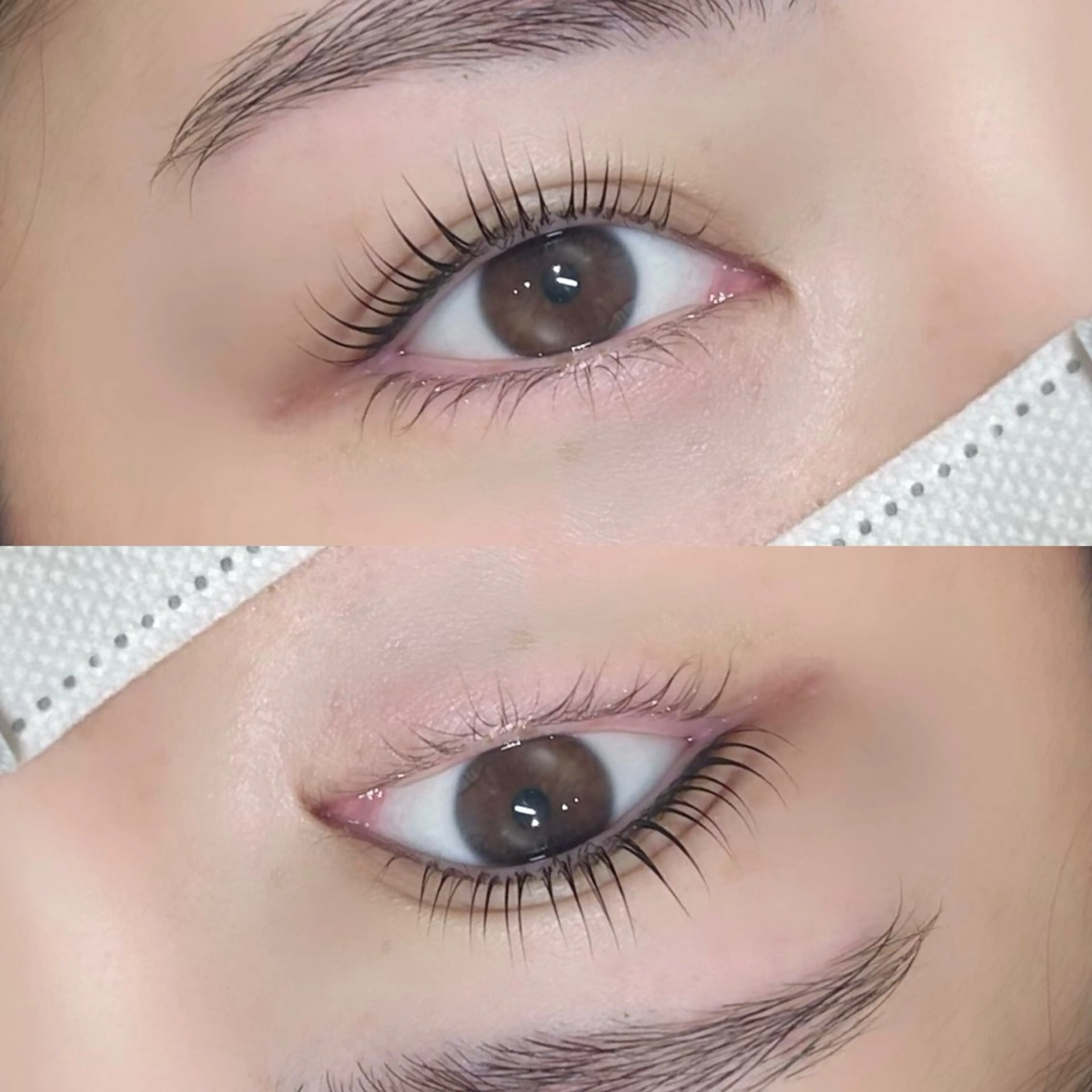 《💎美眉×美まつげケア💫》 美眉スタイリング[眉毛wax /メイク込]+まつげパーマ[アイシャンプー付]🫧👀✨の写真