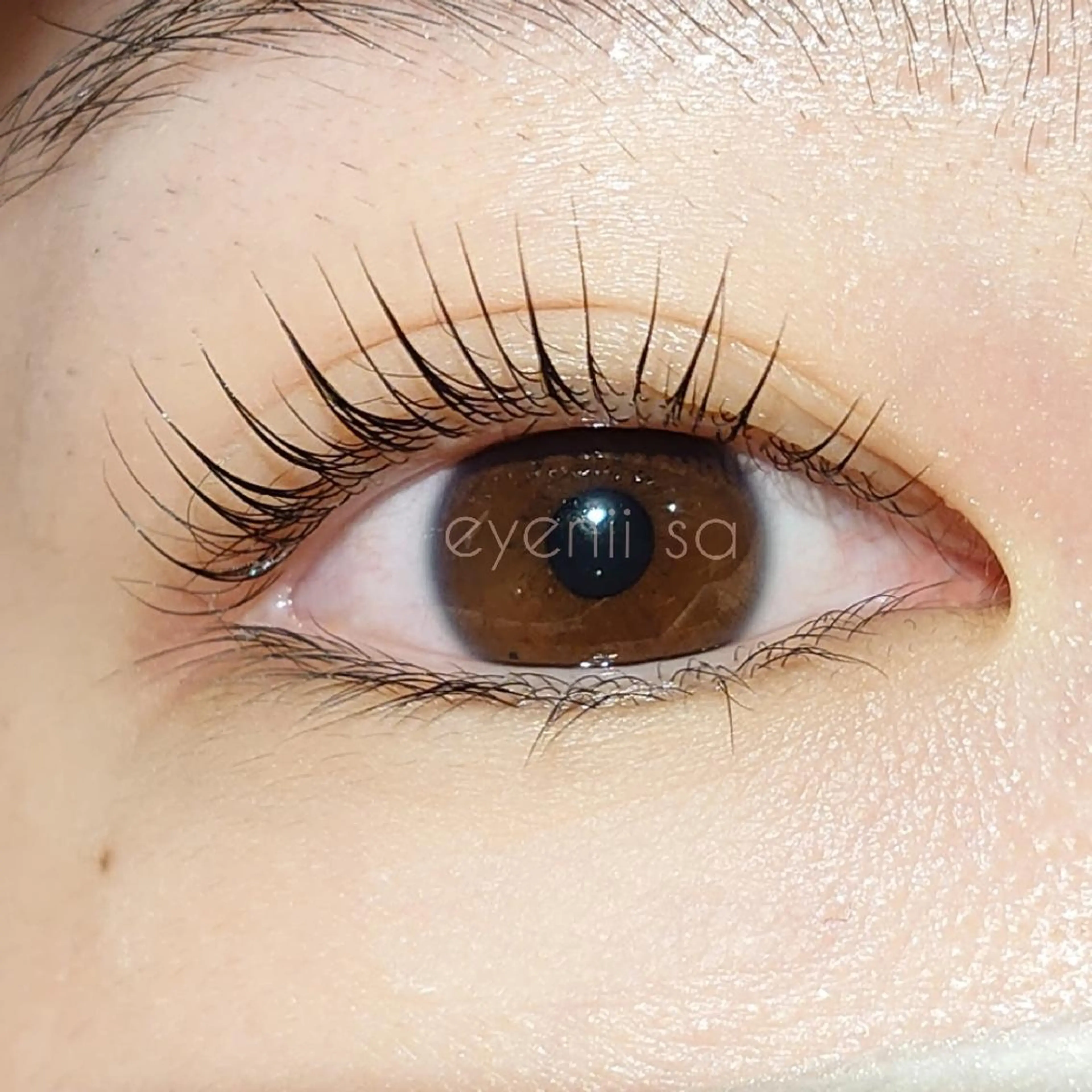 マツエク・マツパ パリジェンヌラッシュリフト さ とうのマツエク・マツパデザイン