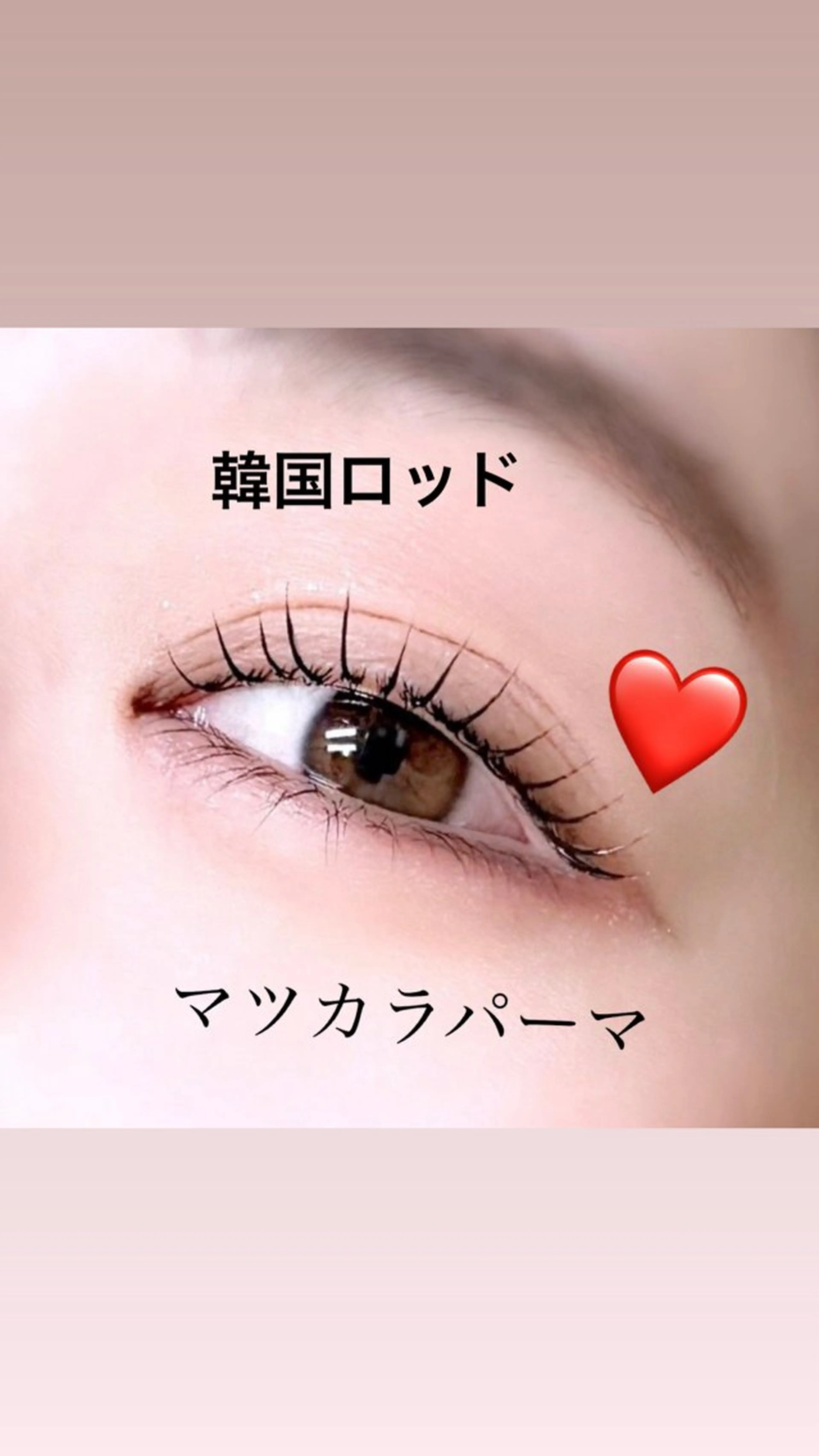 韓国🇰🇷束感🖤マスカラパーマ濃厚BLACKティント＋BLACK美容液コーティングの写真