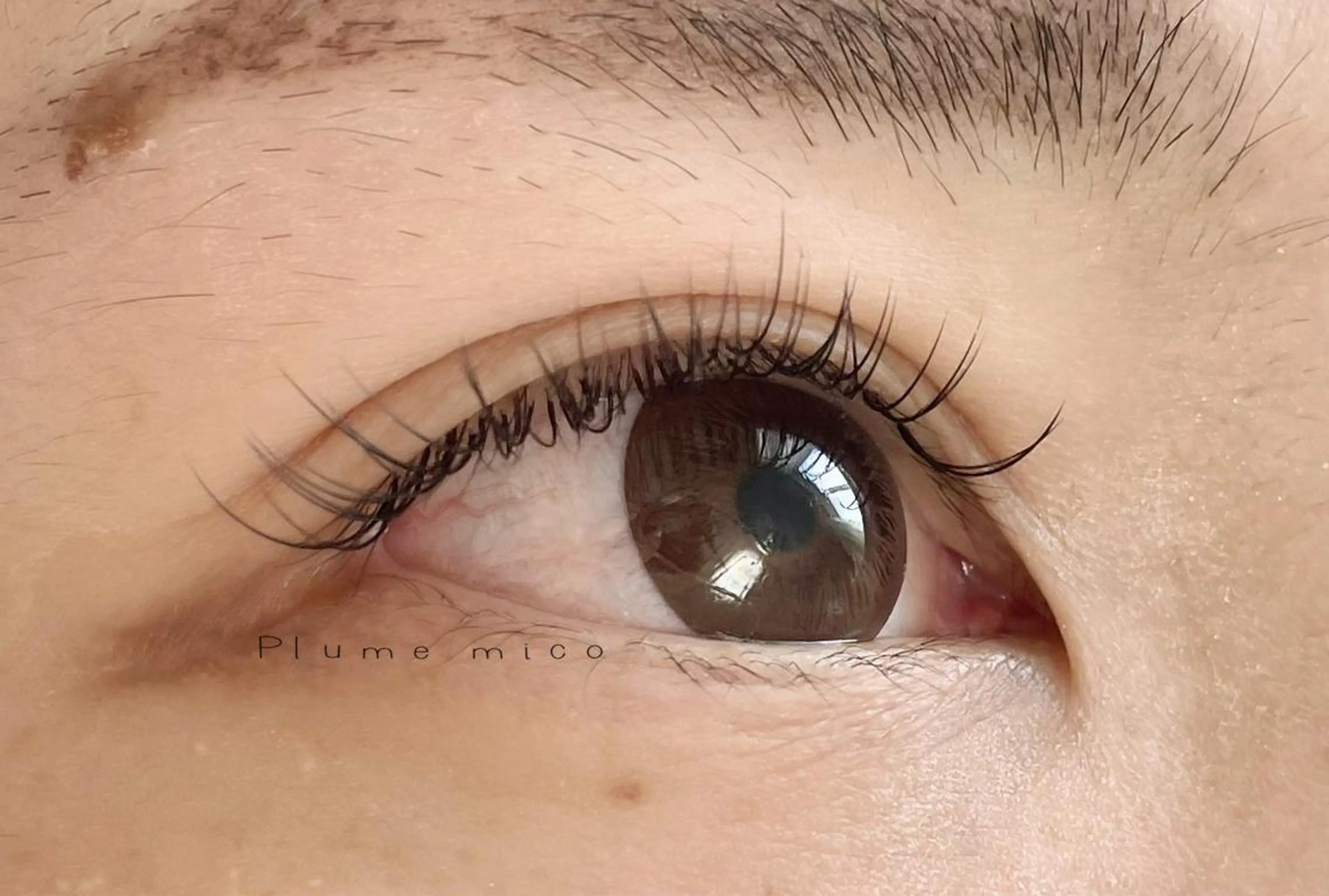 マツエク・マツパ マツエク Plume micoのマツエク・マツパデザイン