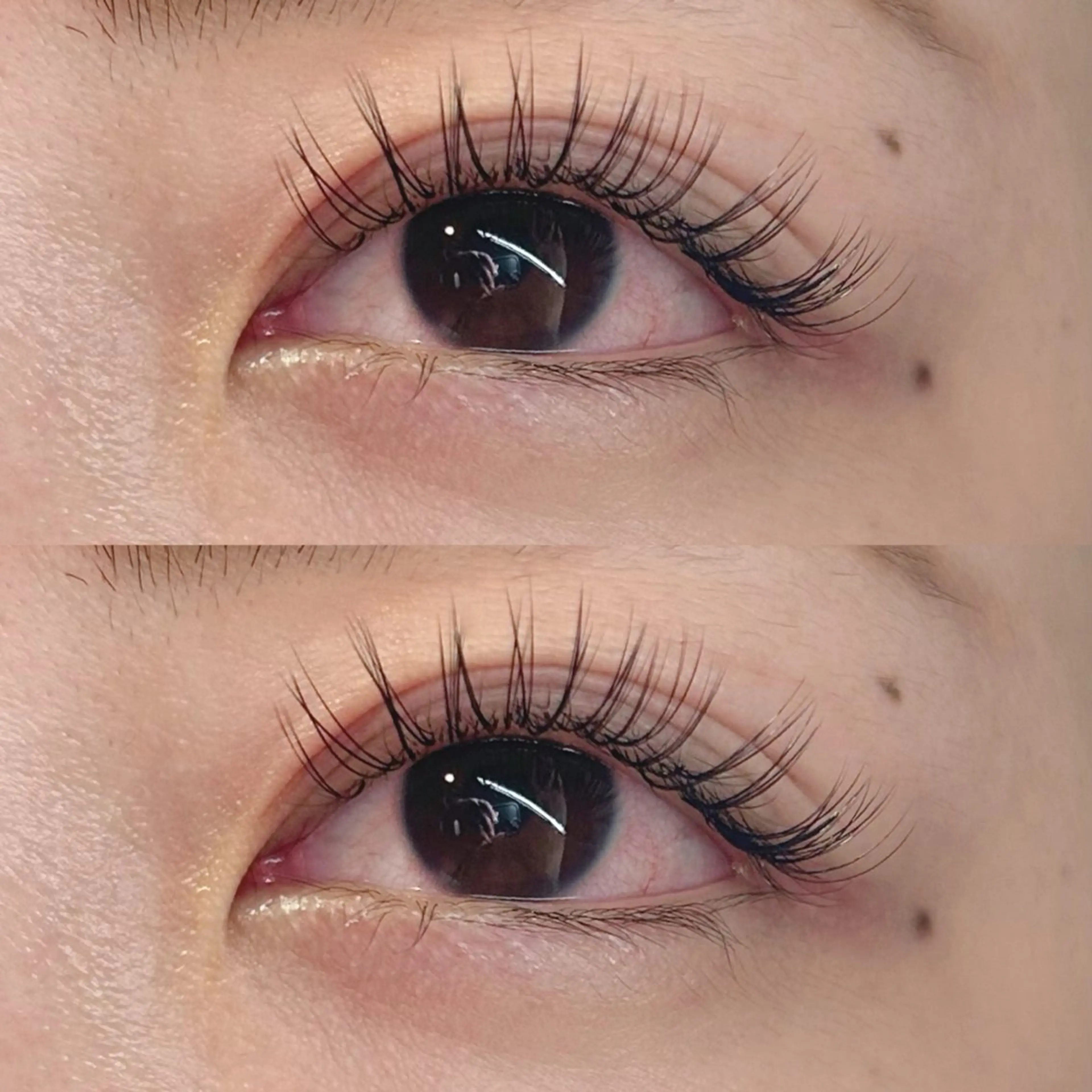 マツエク・マツパ Rise 🎀のマツエク・マツパデザイン