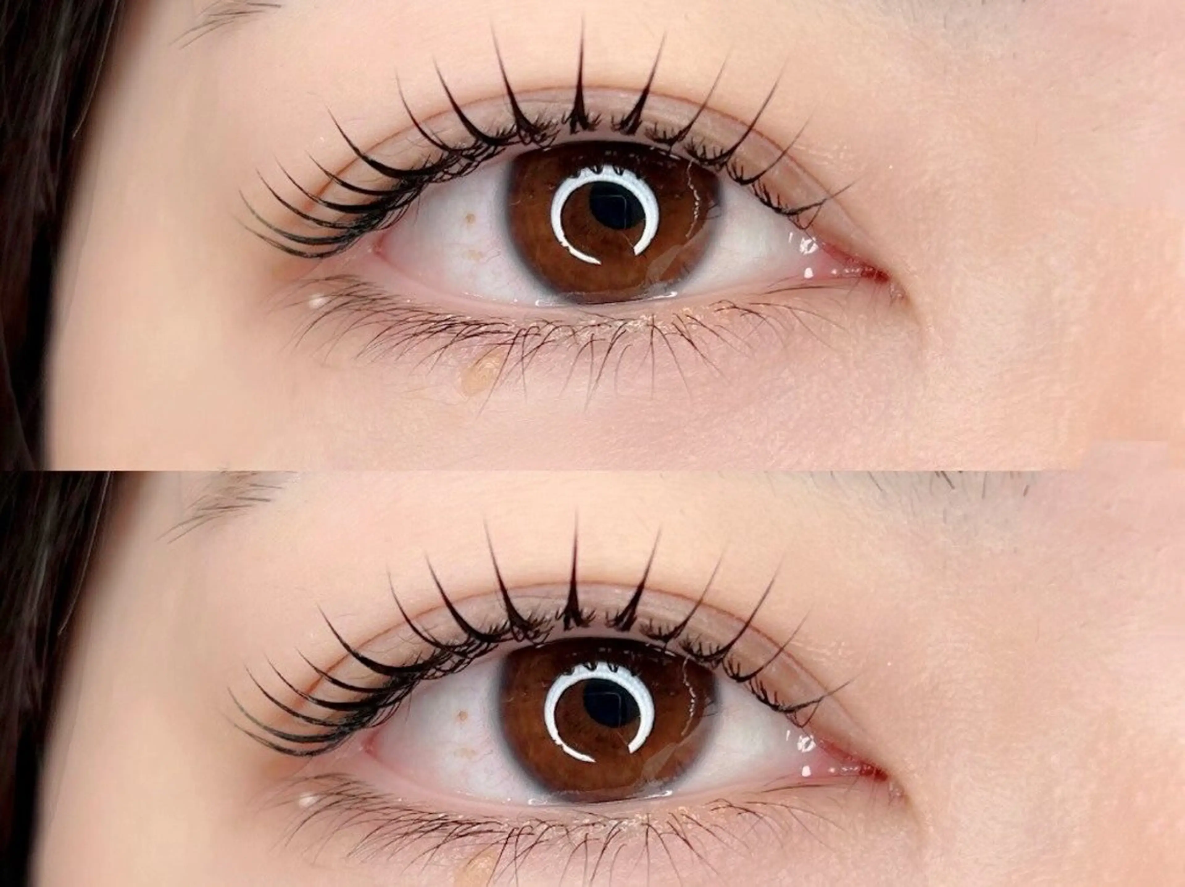 【人気No.1】パリジェンヌラッシュリフトorまつ毛パーマ / 天神の写真