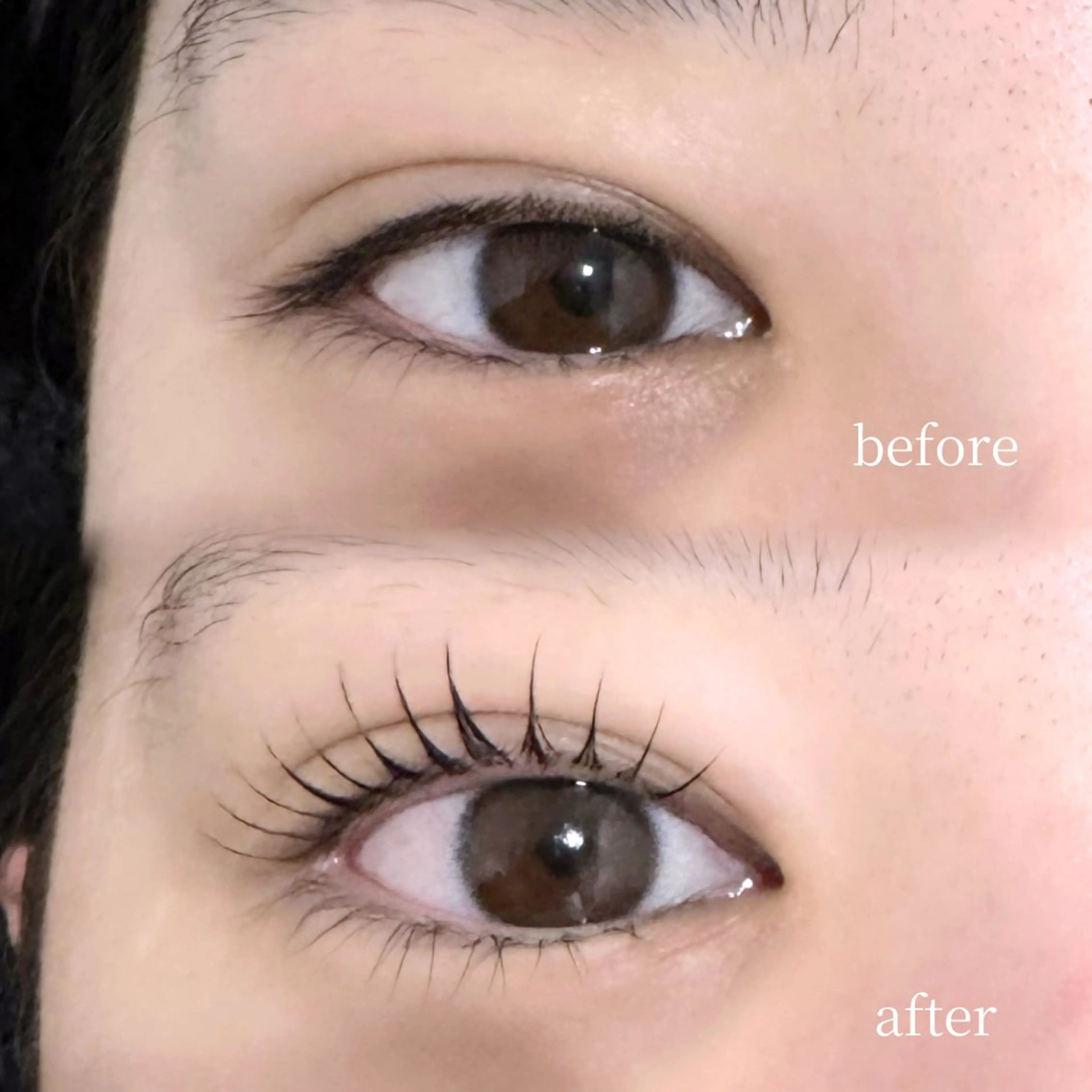 【当日予約限定】まつ毛パーマ×束感仕上げ👀♡の写真