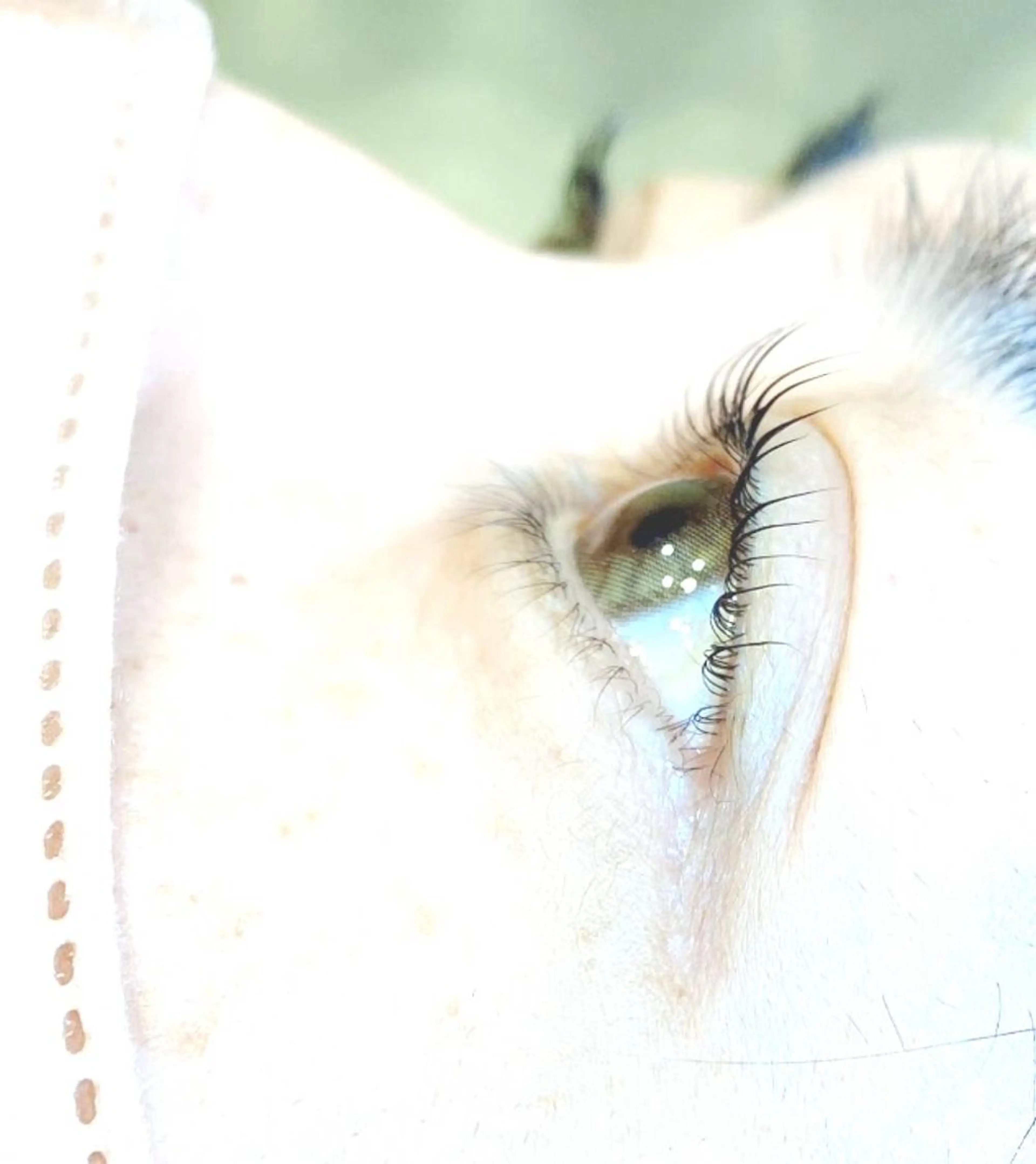 マツエク・マツパ Beauty Salon KANASA所属・KANASA 【カナサ】*Megのマツエク・マツパデザイン