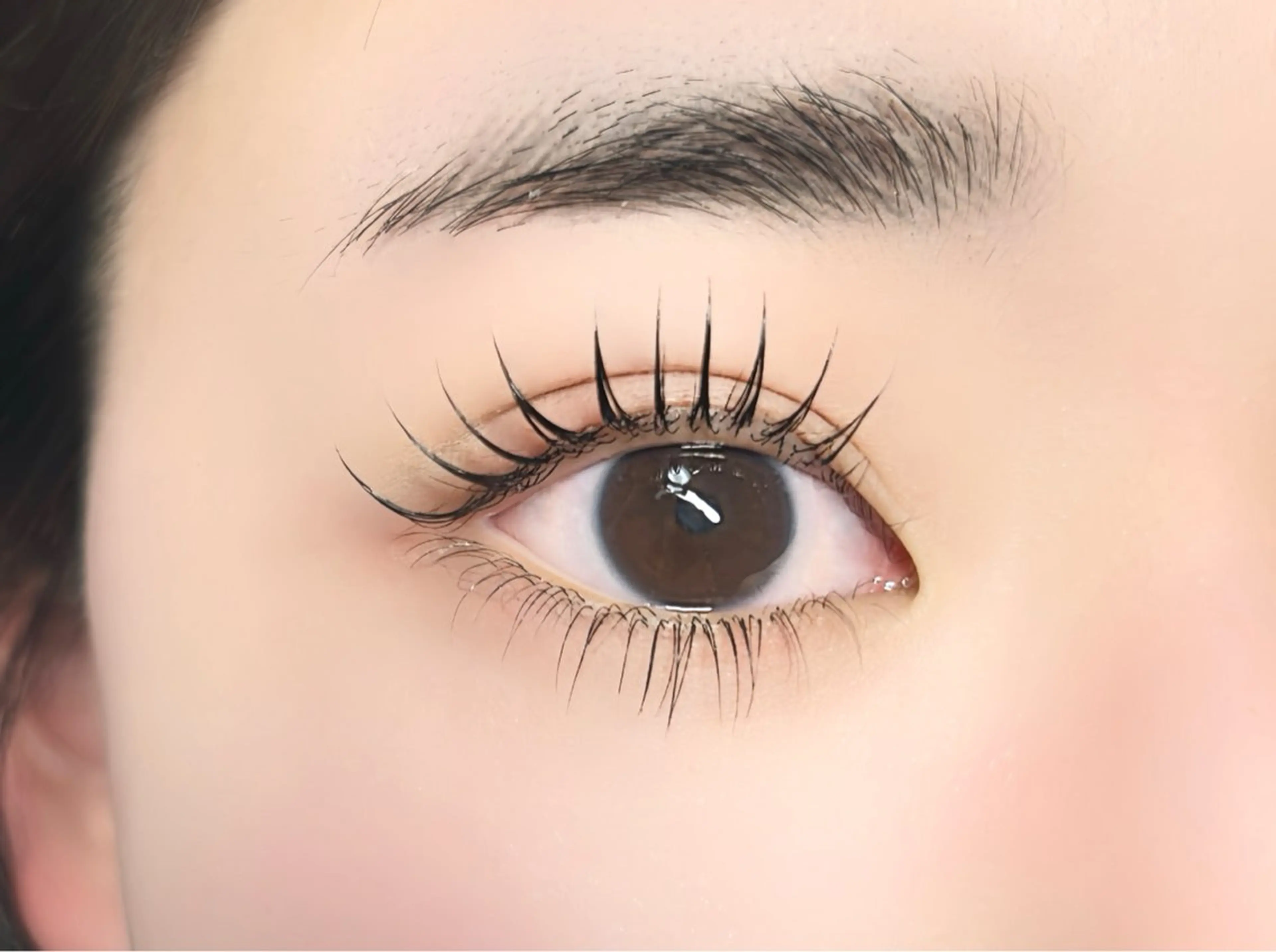 【ミニモ限定】【ご新規様限定】上下セット✨パリジェンヌorラッシュリフト✨の写真