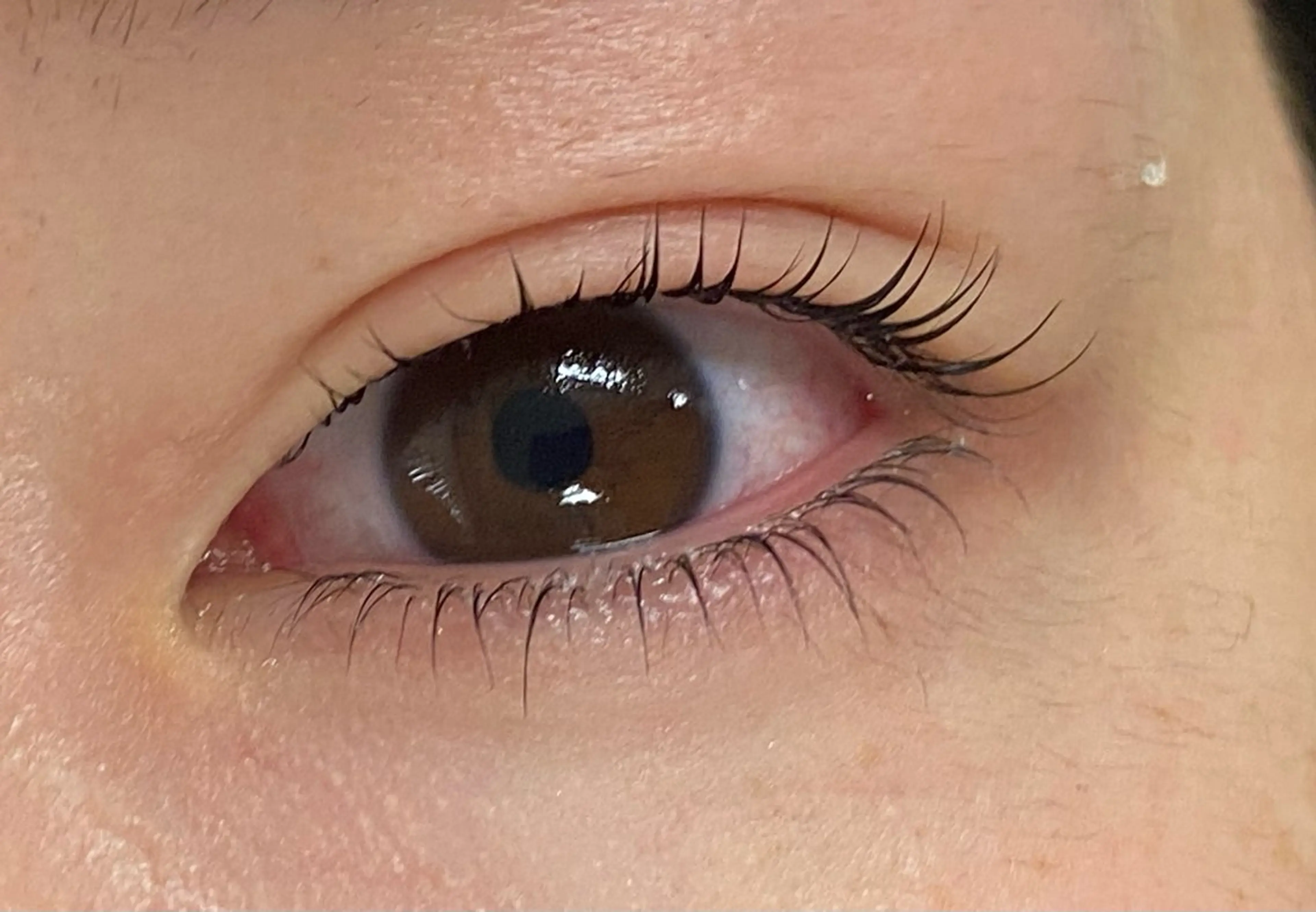 マツエク・マツパ Daisy lash 京橋店堀井のマツエク・マツパデザイン