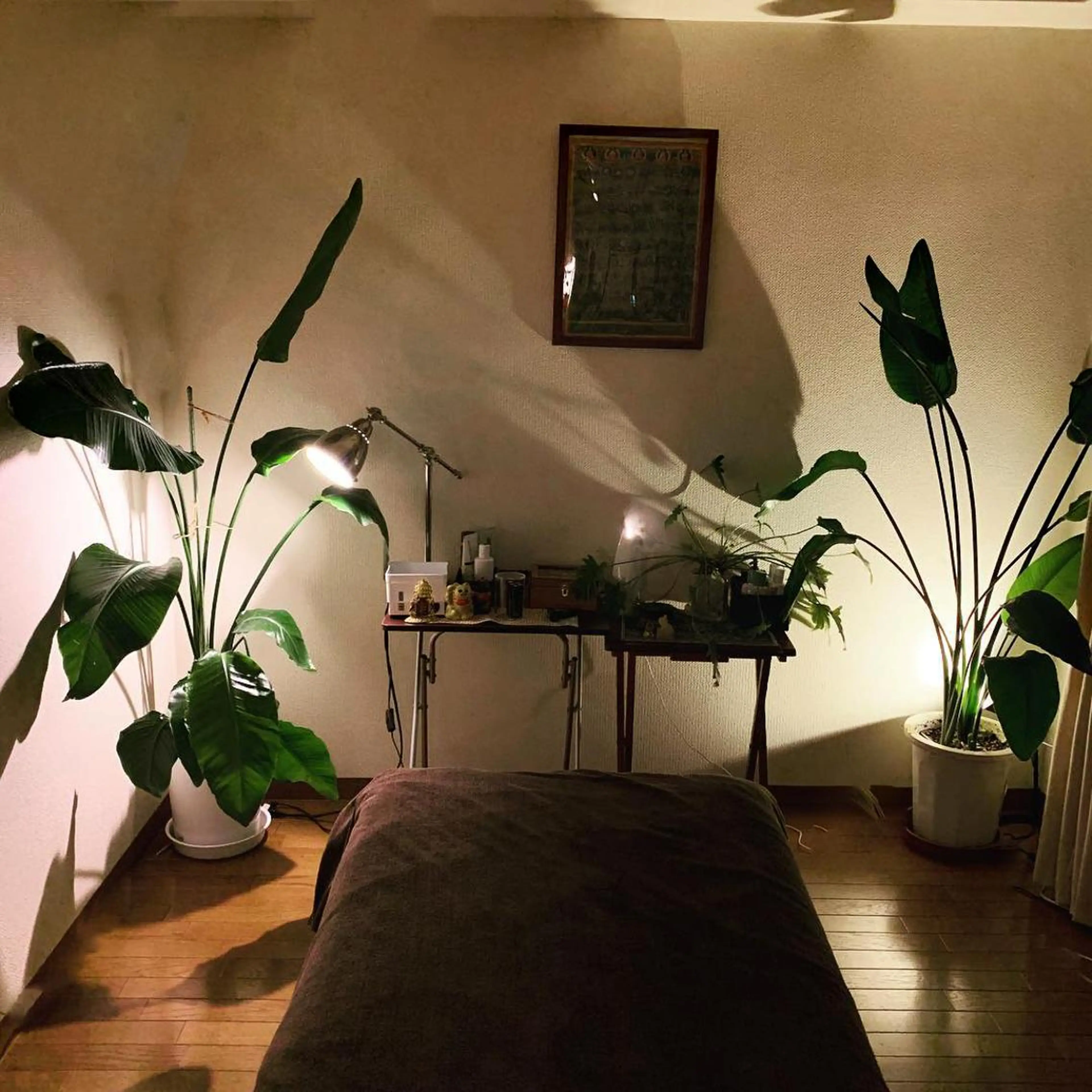 口コミ書き込み済みのお客さまへ　特典のサービス付き😍の写真