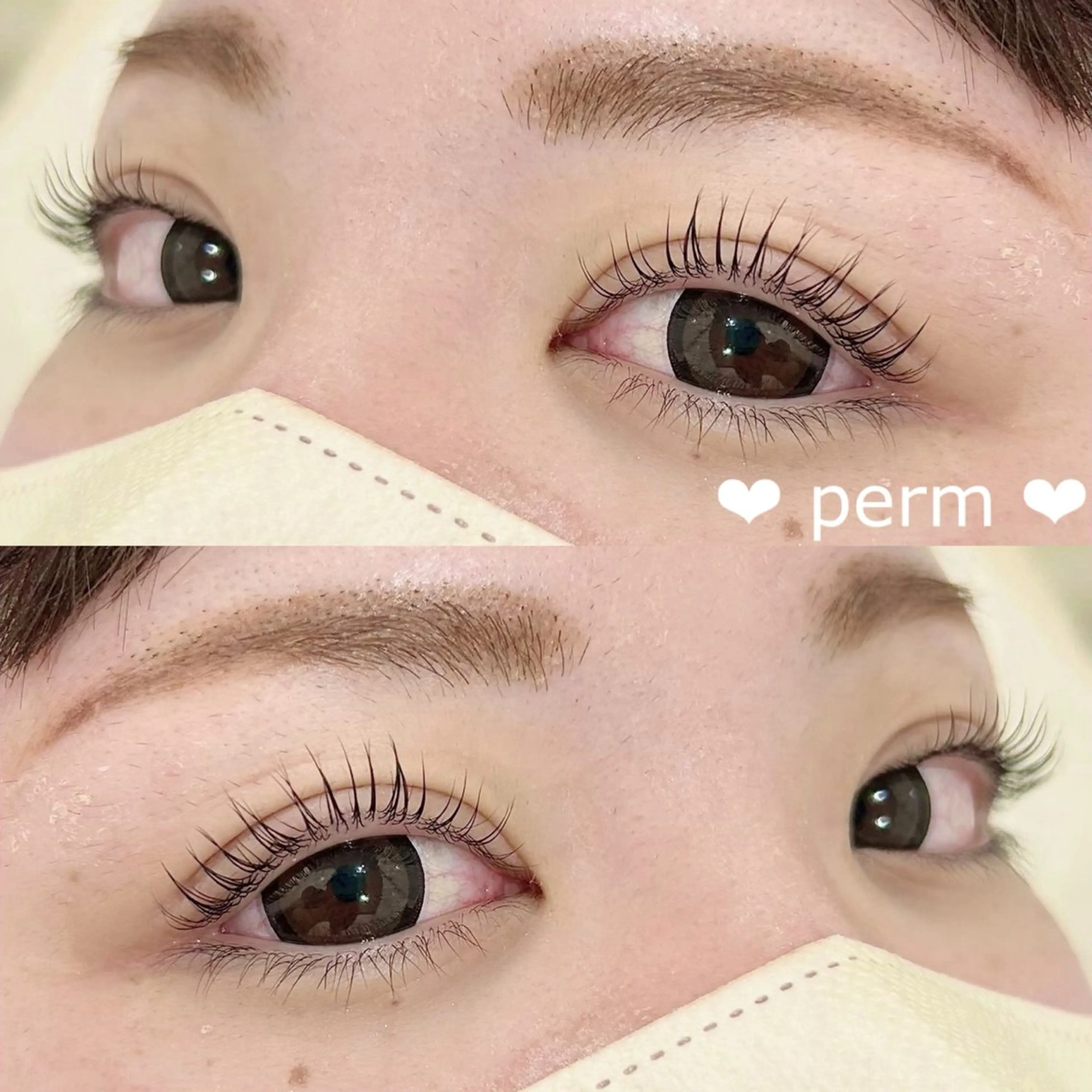 ❤︎【プレミアム】潤いまつ毛パーマ→の写真