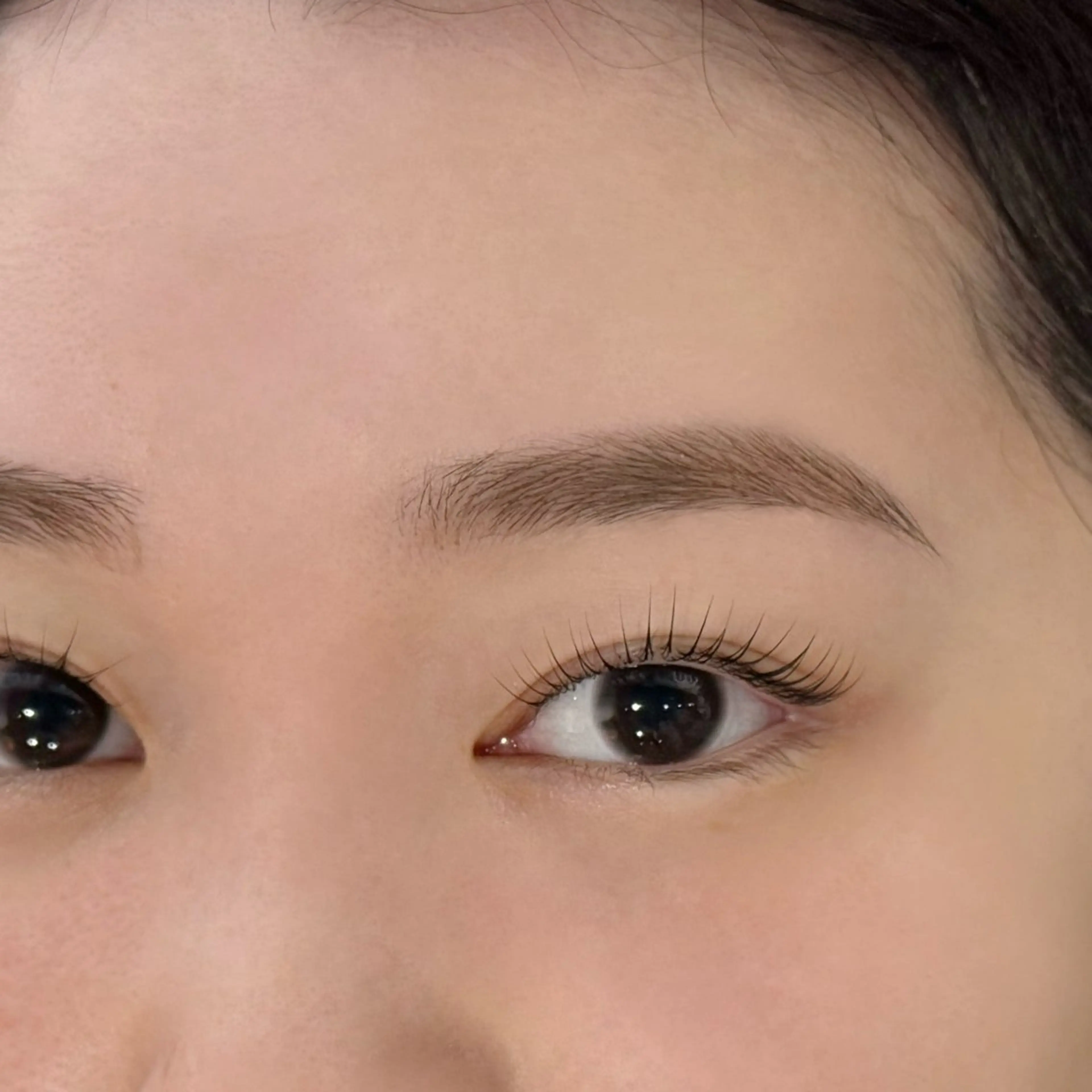 【レディース】美眉ワックス（eyebrow wax）の写真