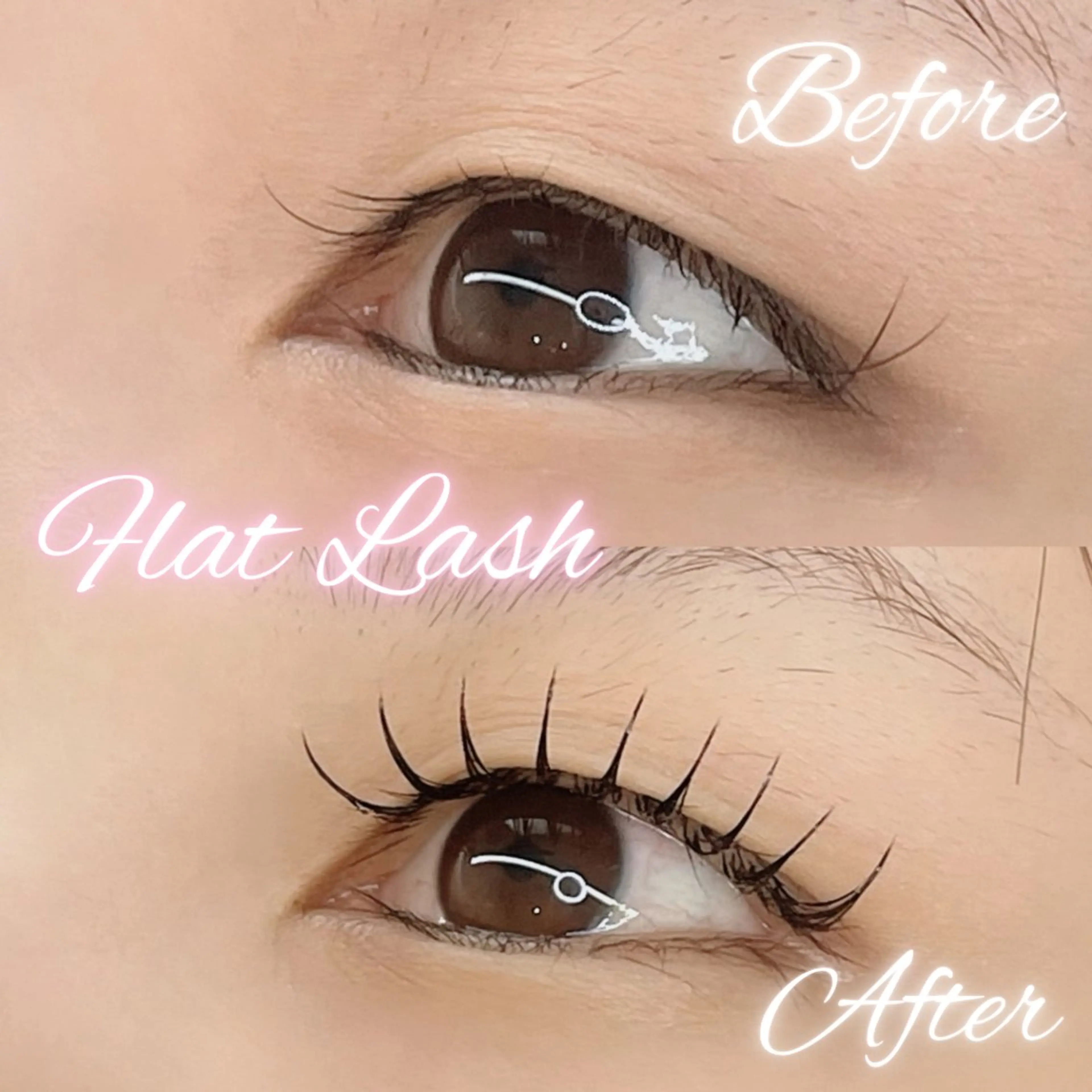 フラットラッシュ80~100本の写真