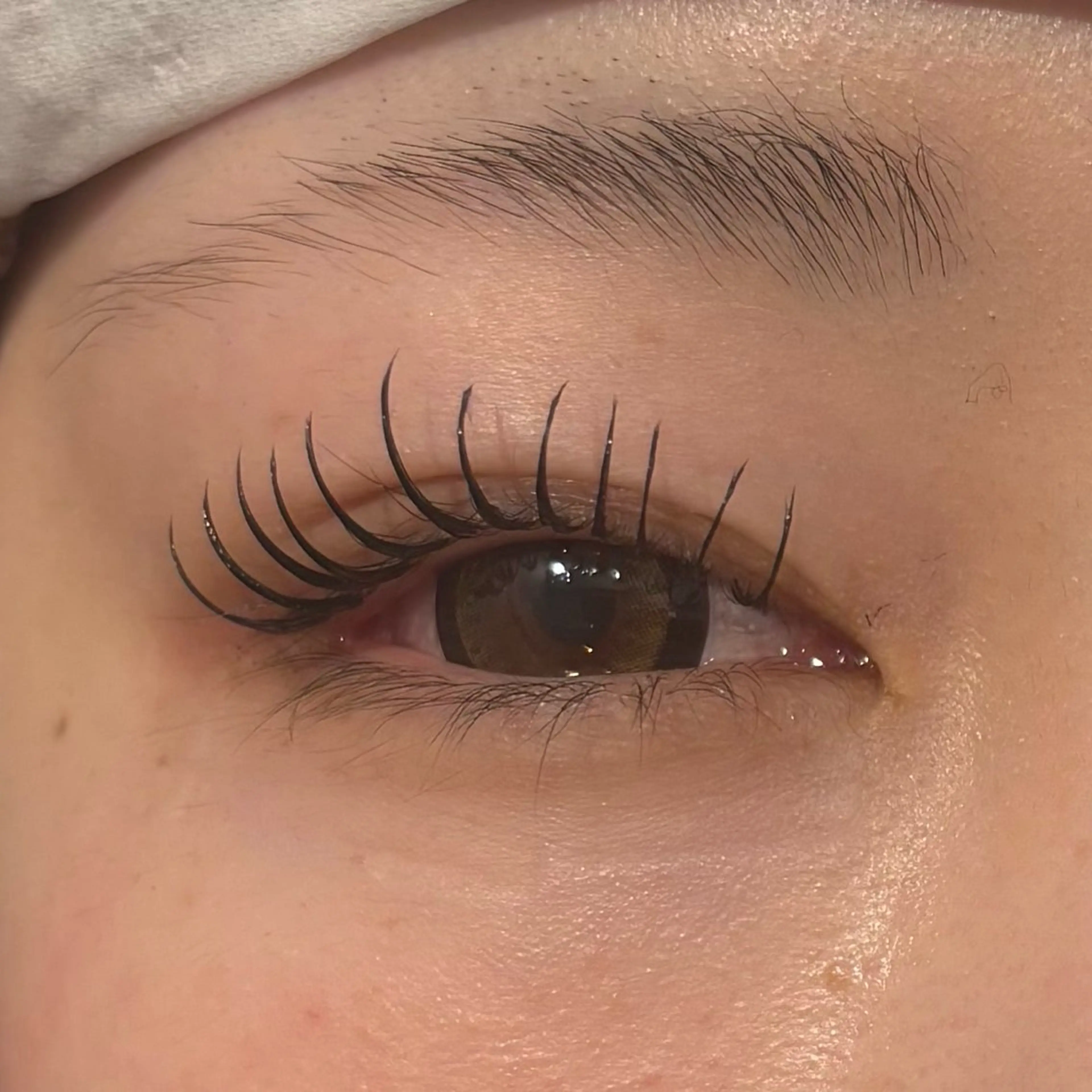 えくぱーまモデル🎀 エクステ100本～120本（お時間内での施術になります）お付けしてからパーマをかける技術🌟の写真