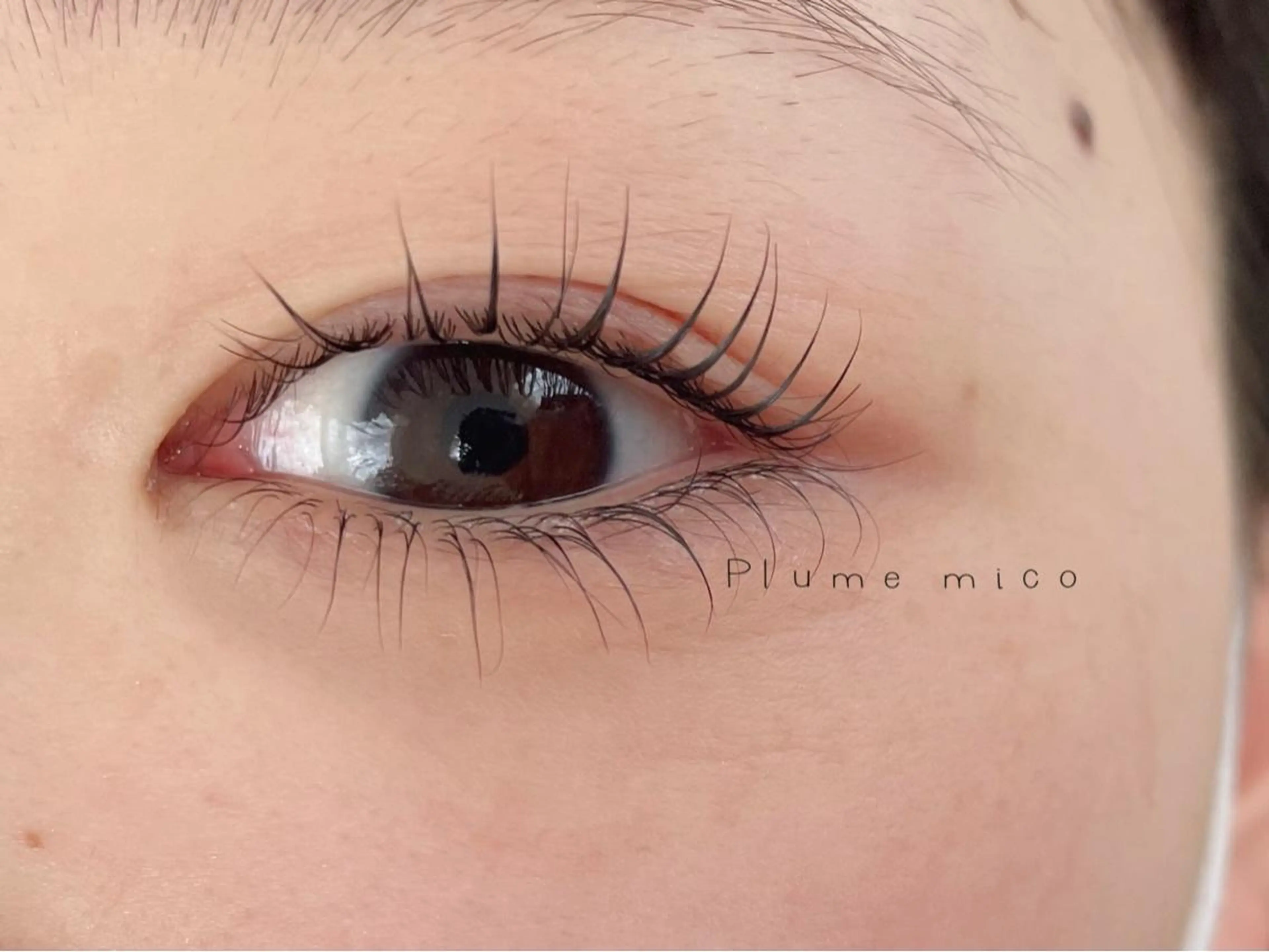 マツエク・マツパ マツパ Plume micoのマツエク・マツパデザイン