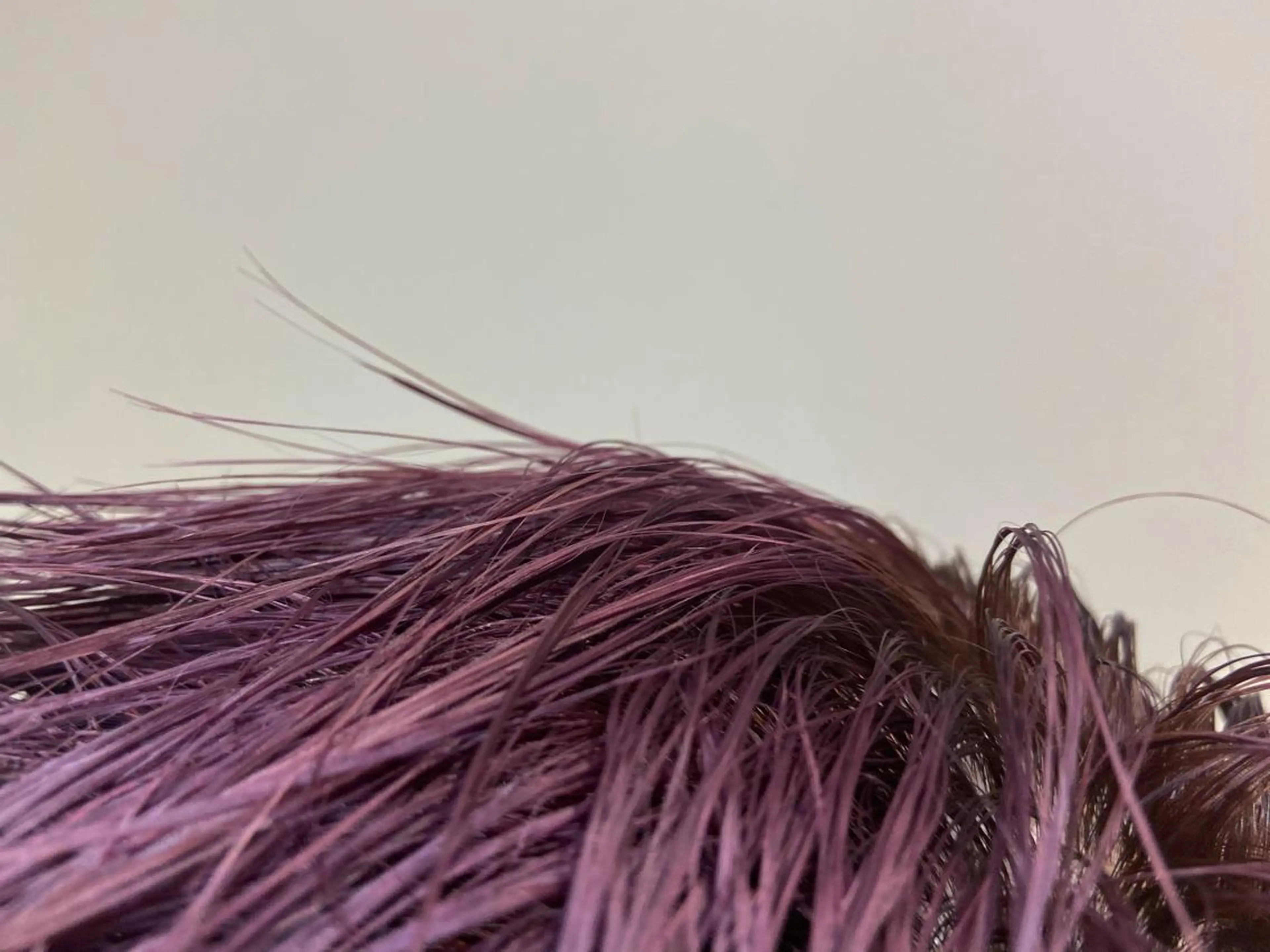 ショート ヘアカラー STAN WOOD所属・似合わせcut 🔥yutakaのヘアスタイル